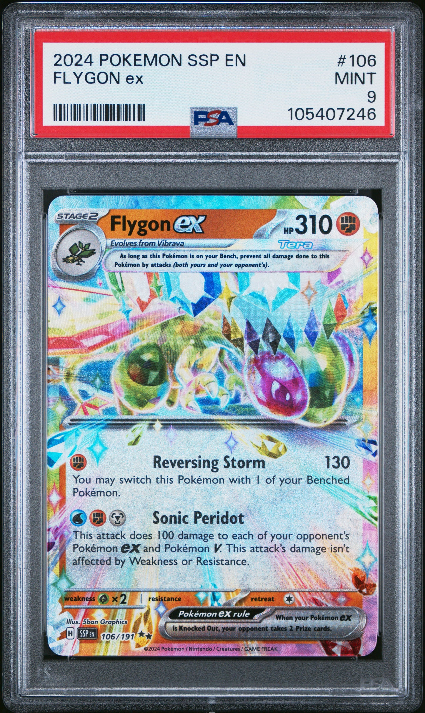 FLYGON EX