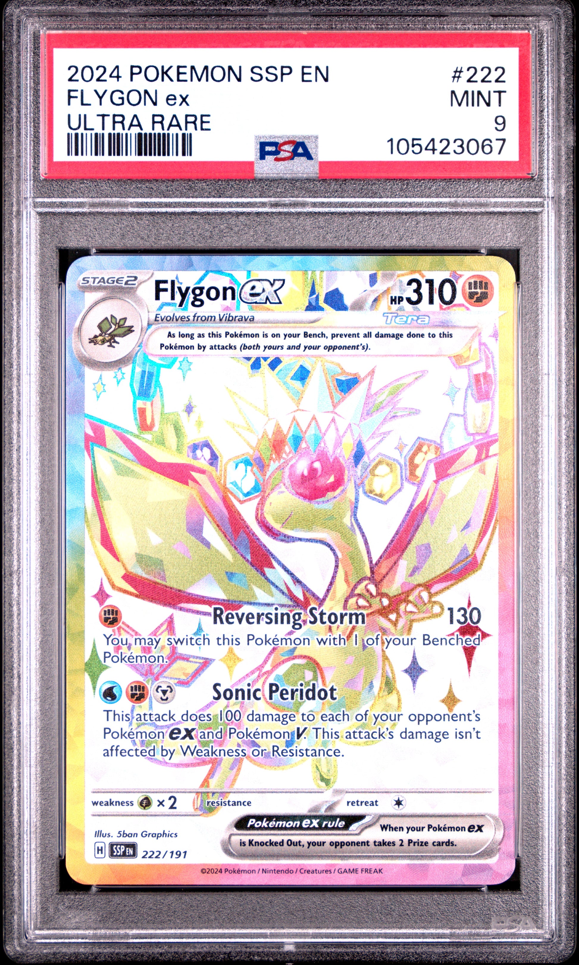 FLYGON EX