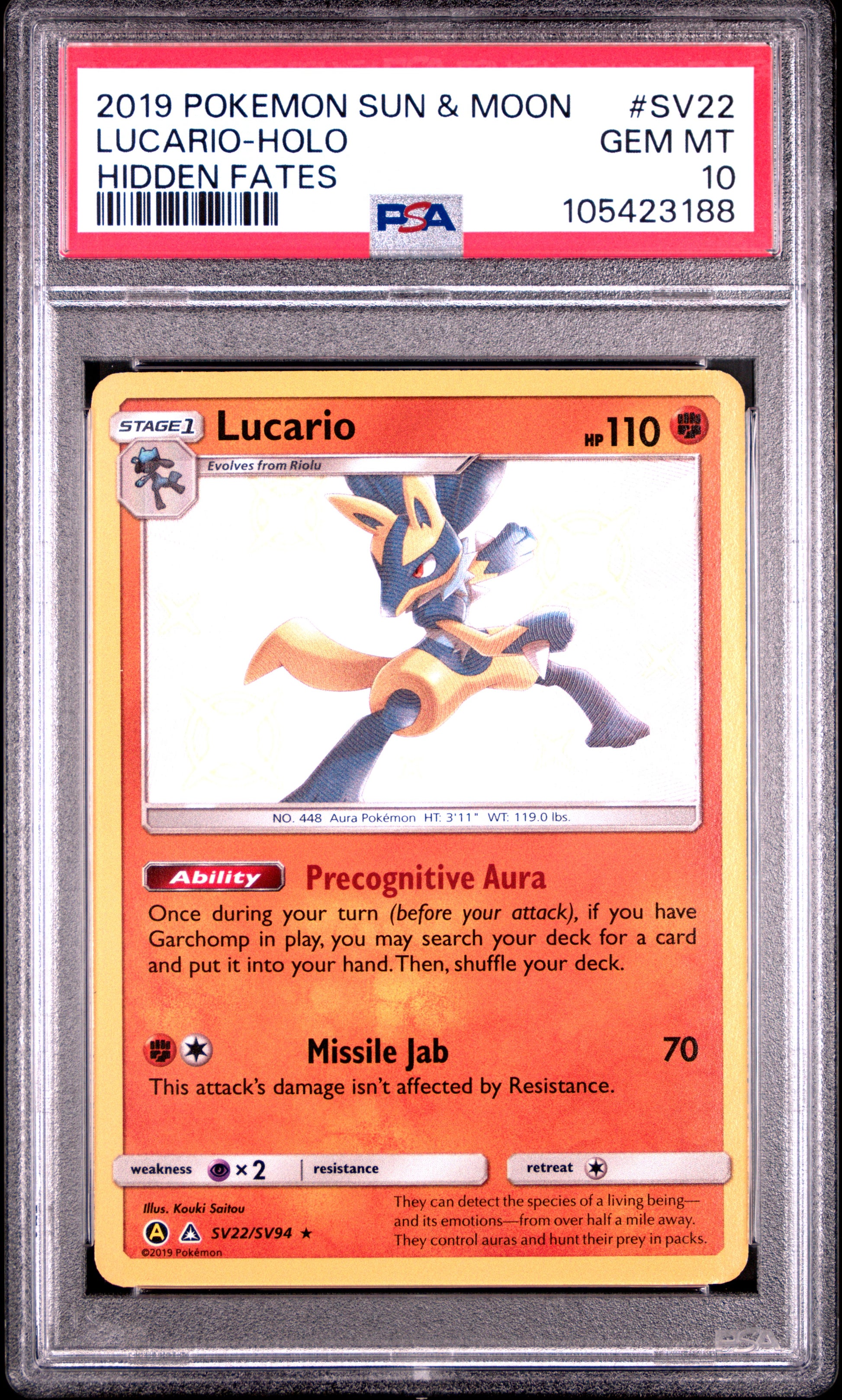 LUCARIO-HOLO