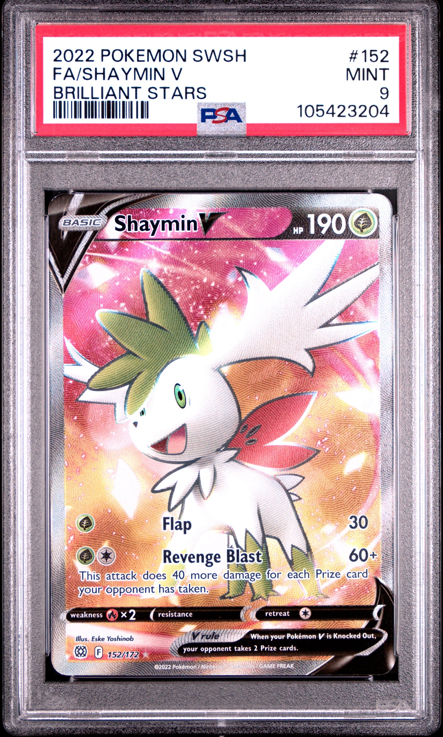 SHAYMIN V