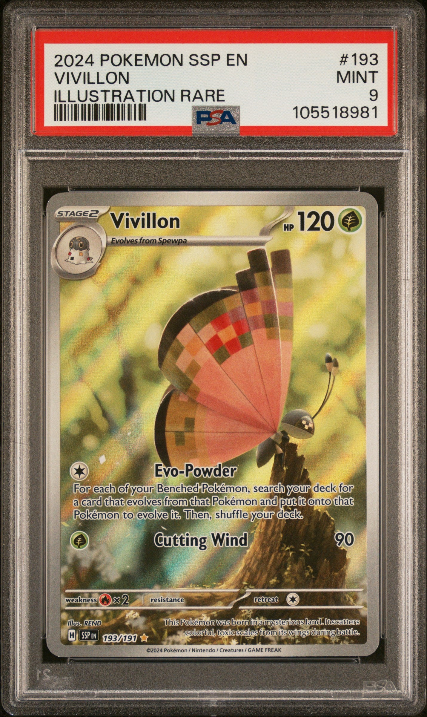 VIVILLON