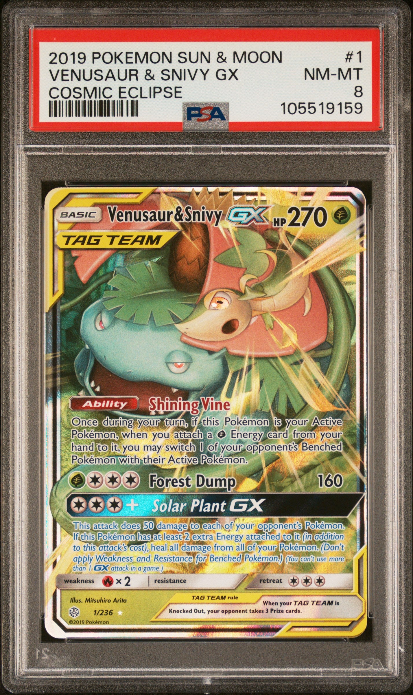 VENUSAUR & SNIVY GX