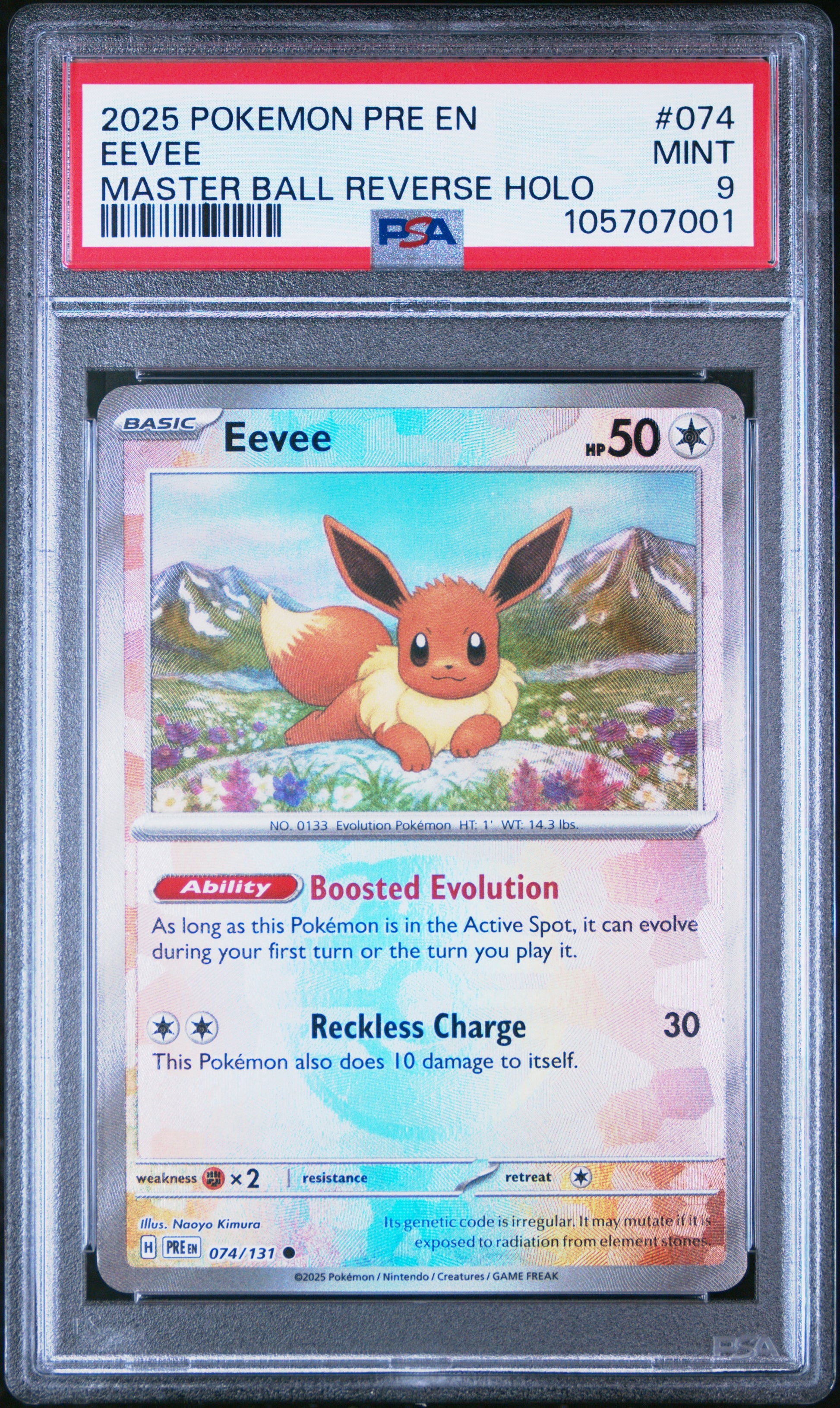 EEVEE