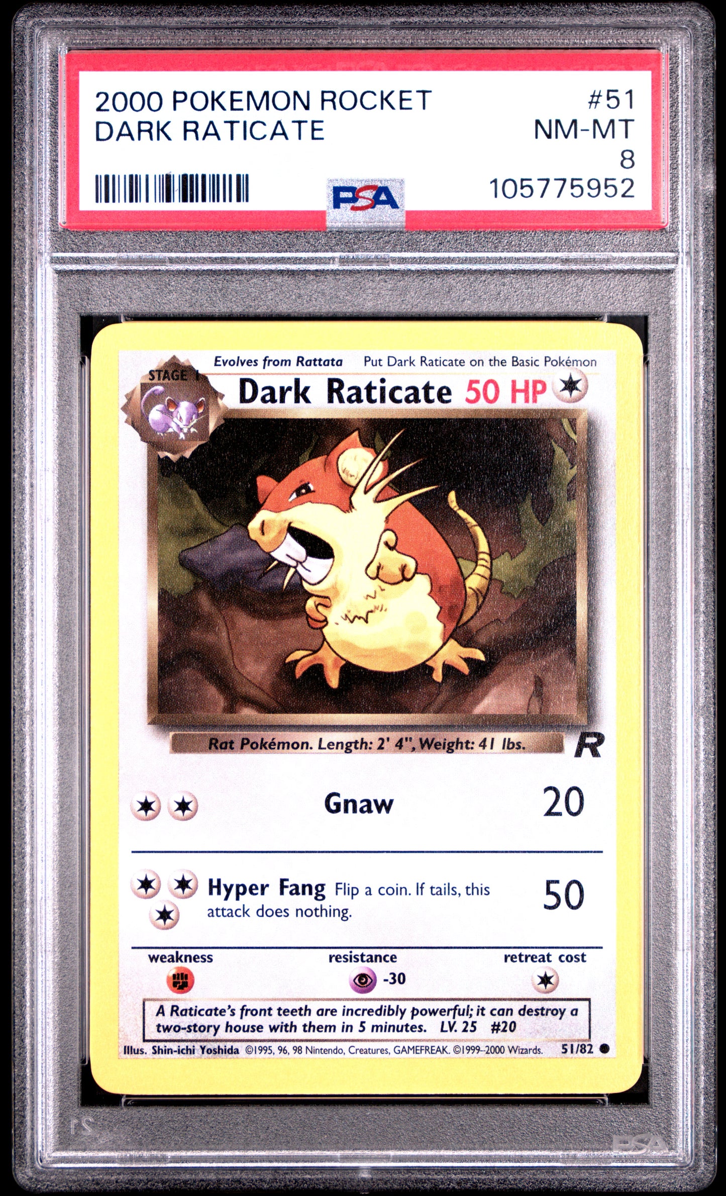 DARK RATICATE