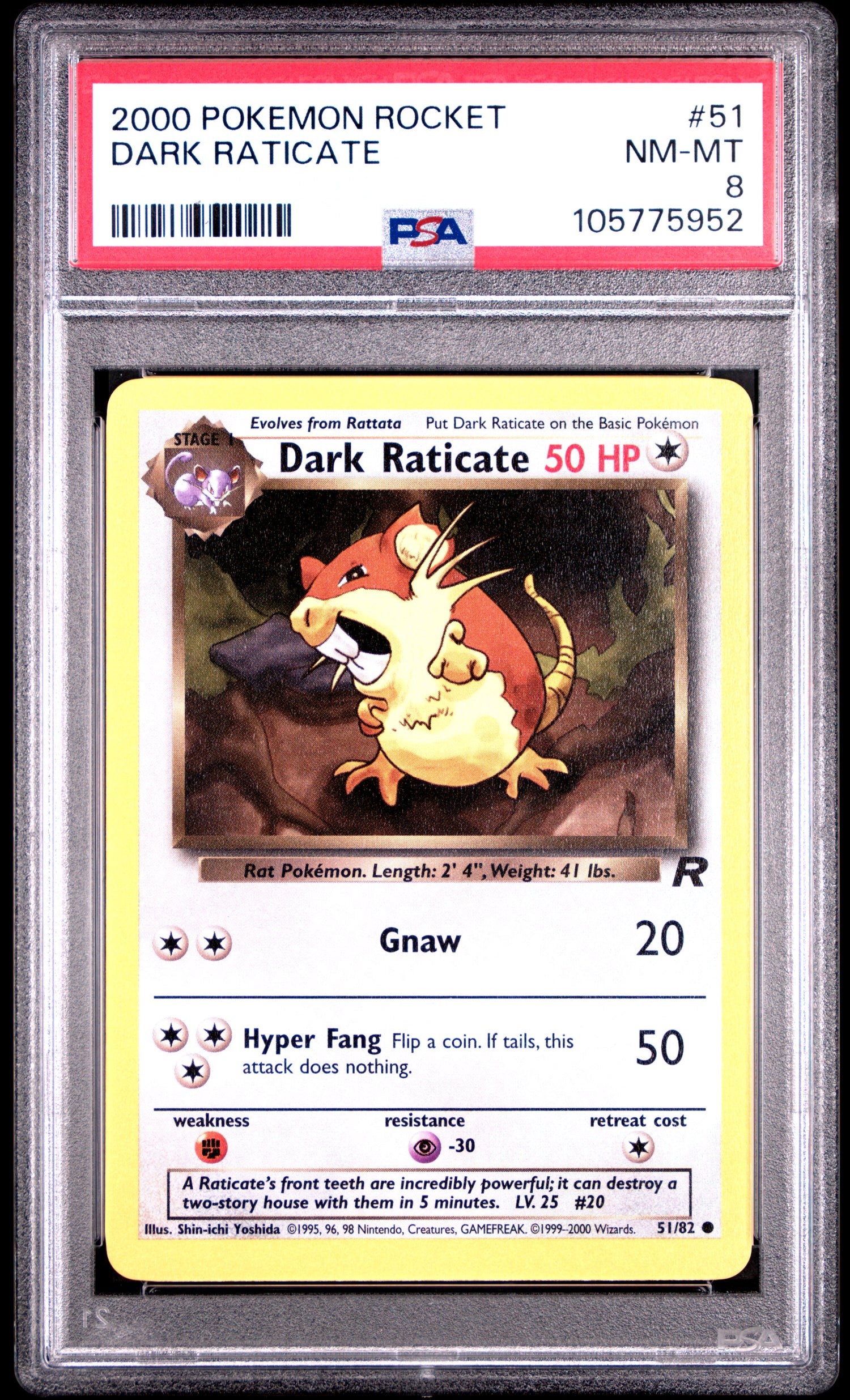 DARK RATICATE