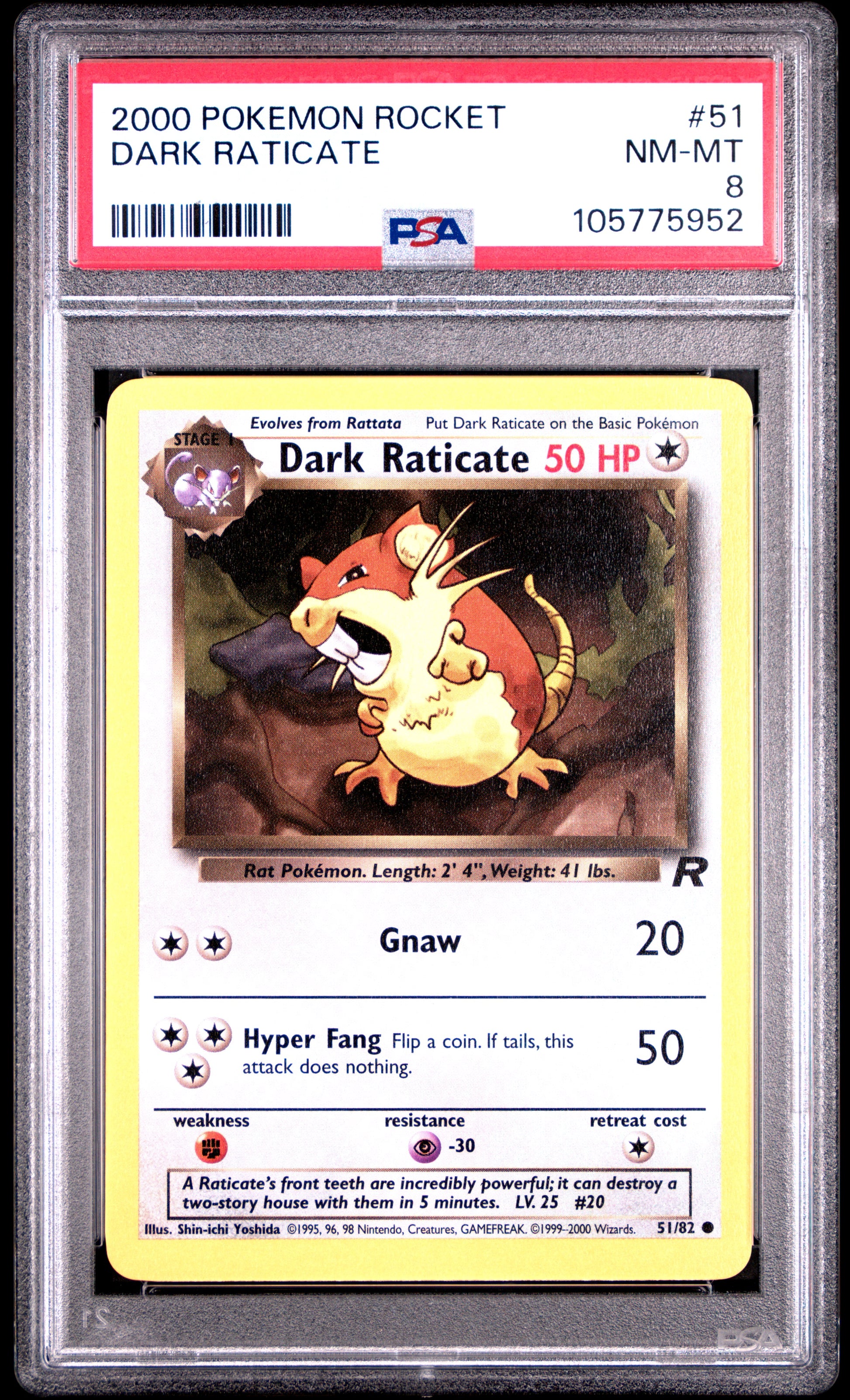DARK RATICATE