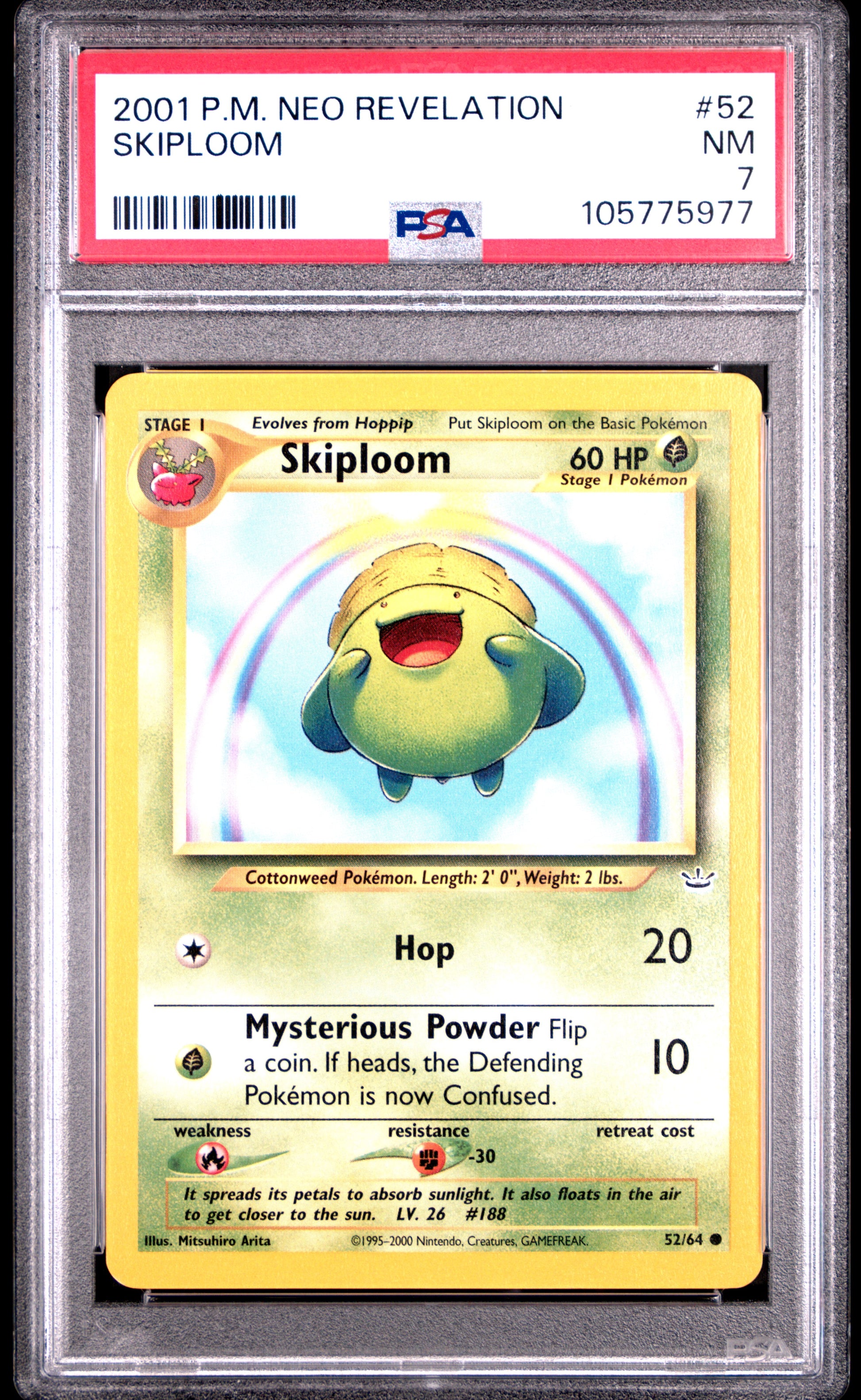 SKIPLOOM
