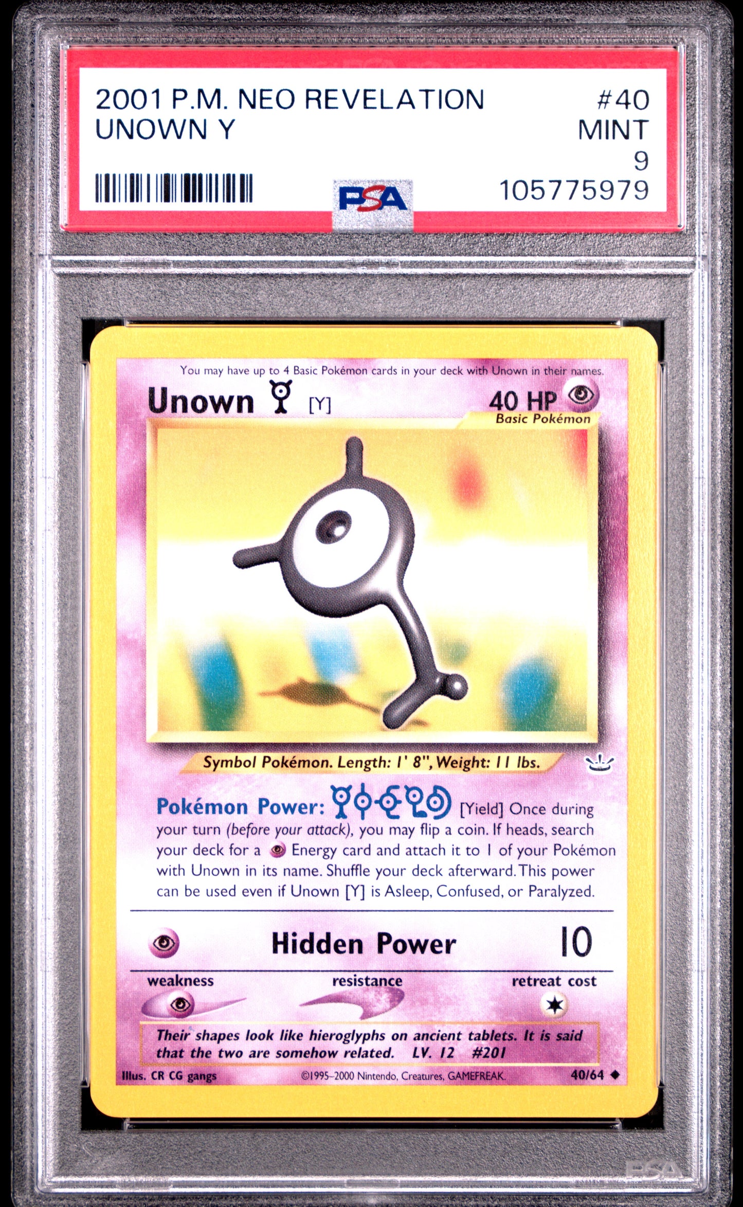 UNOWN Y