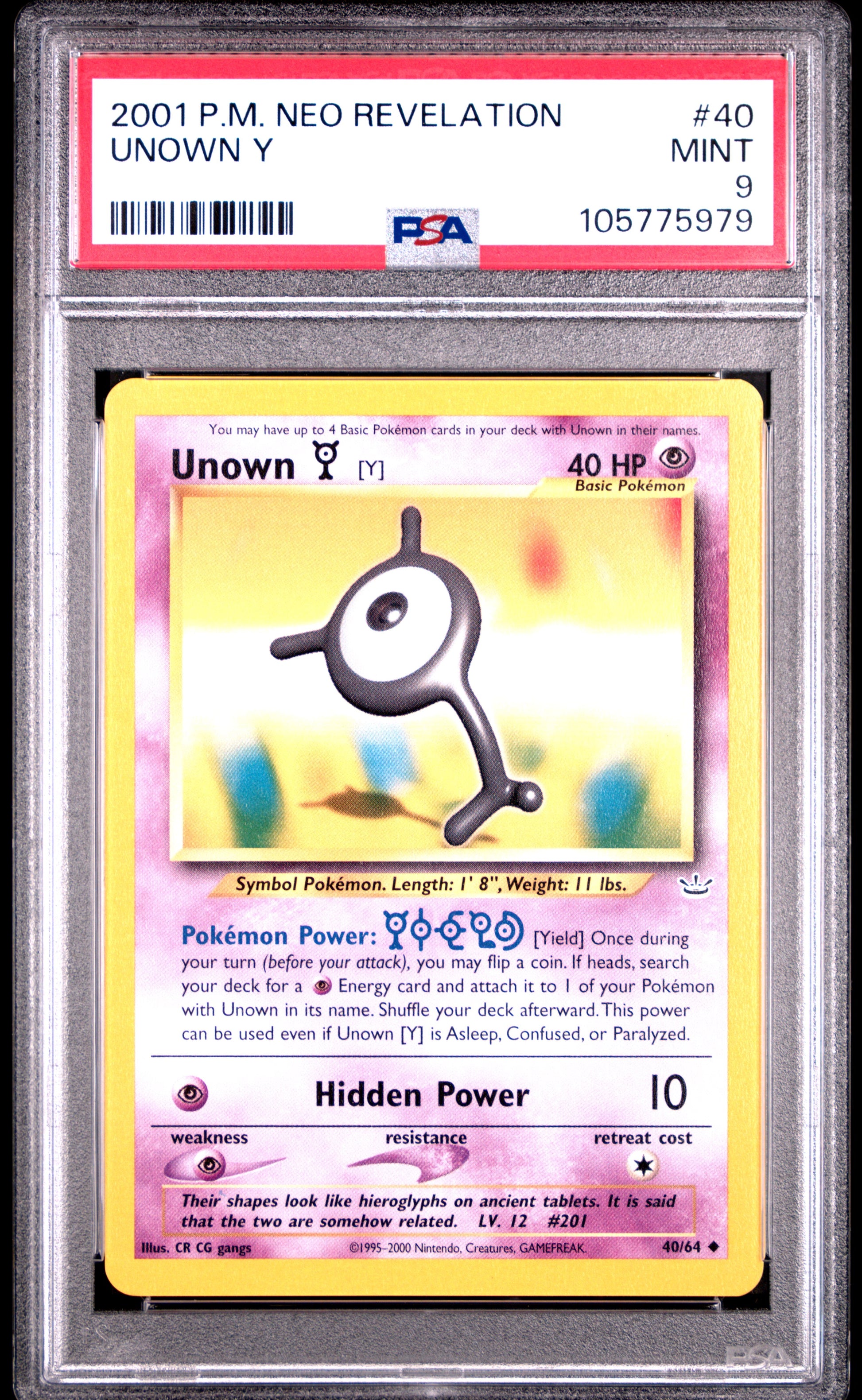 UNOWN Y