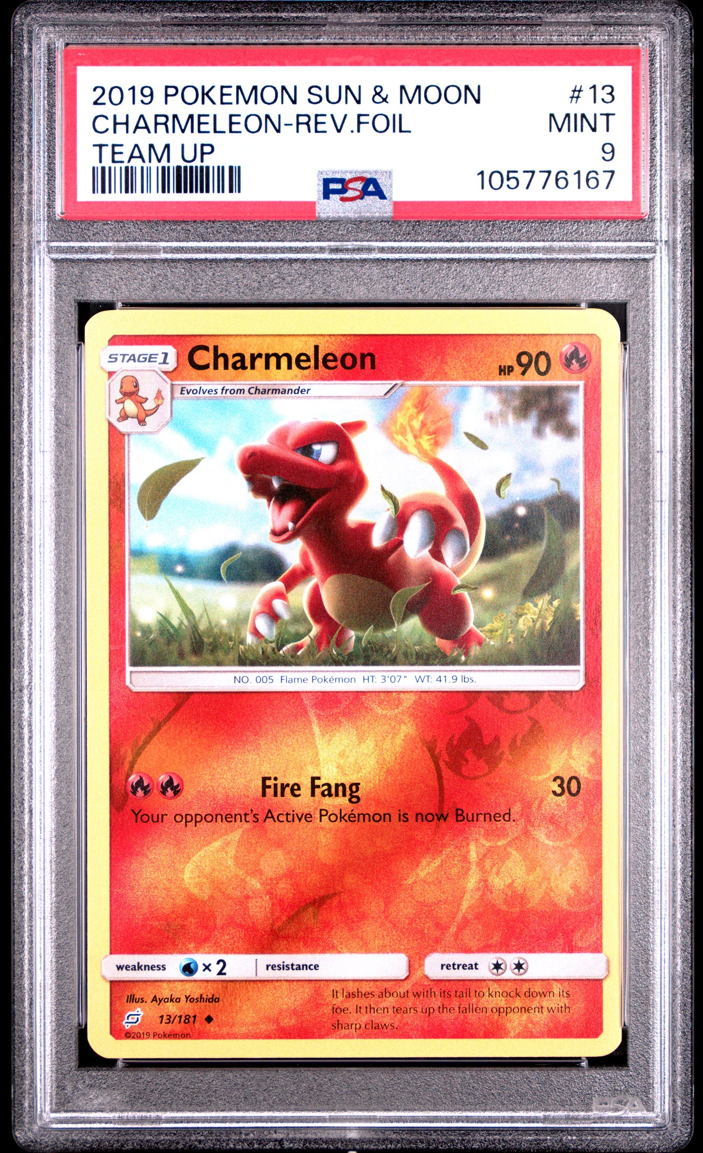 CHARMELEON-REV.FOIL