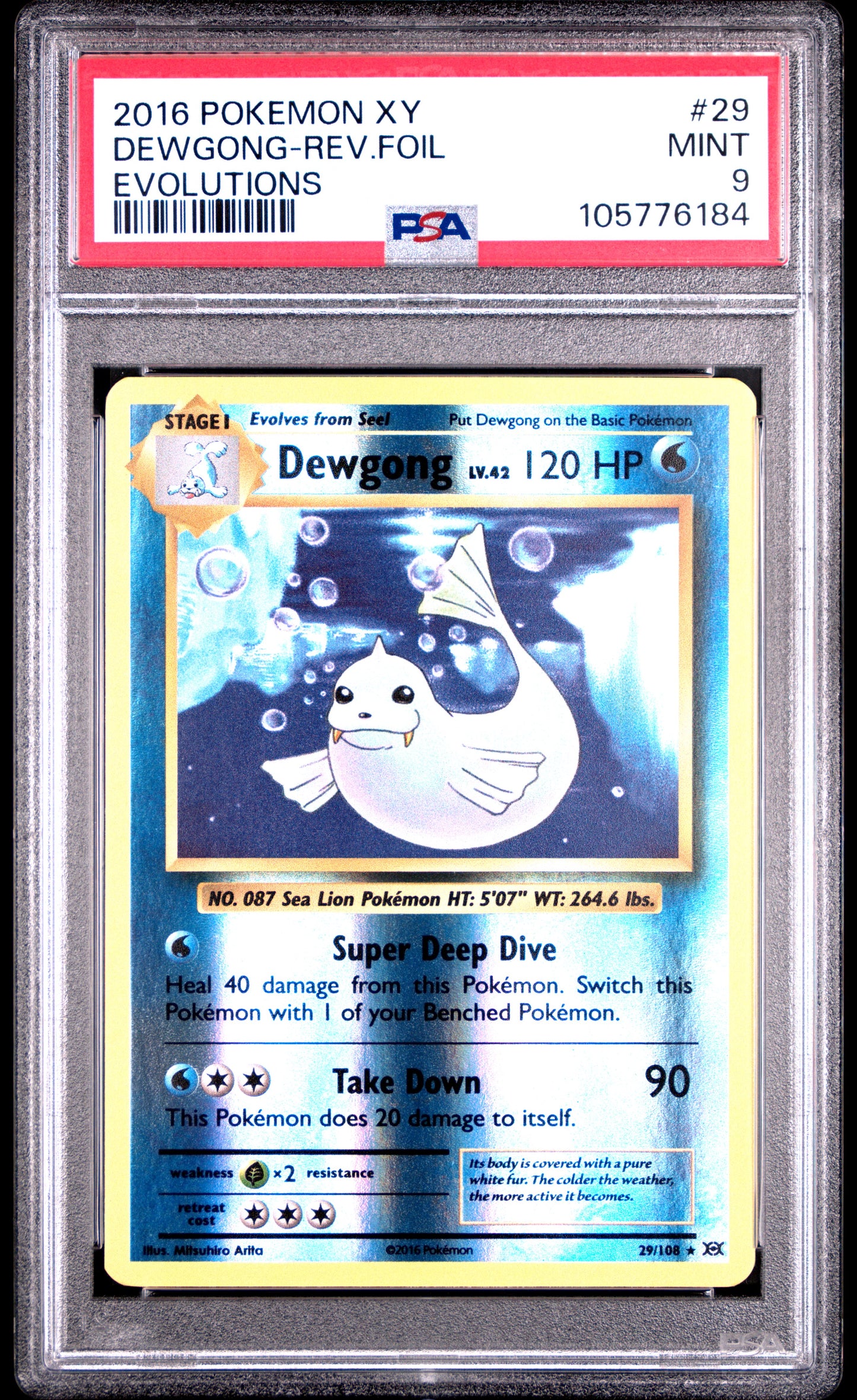 DEWGONG-REV.FOIL