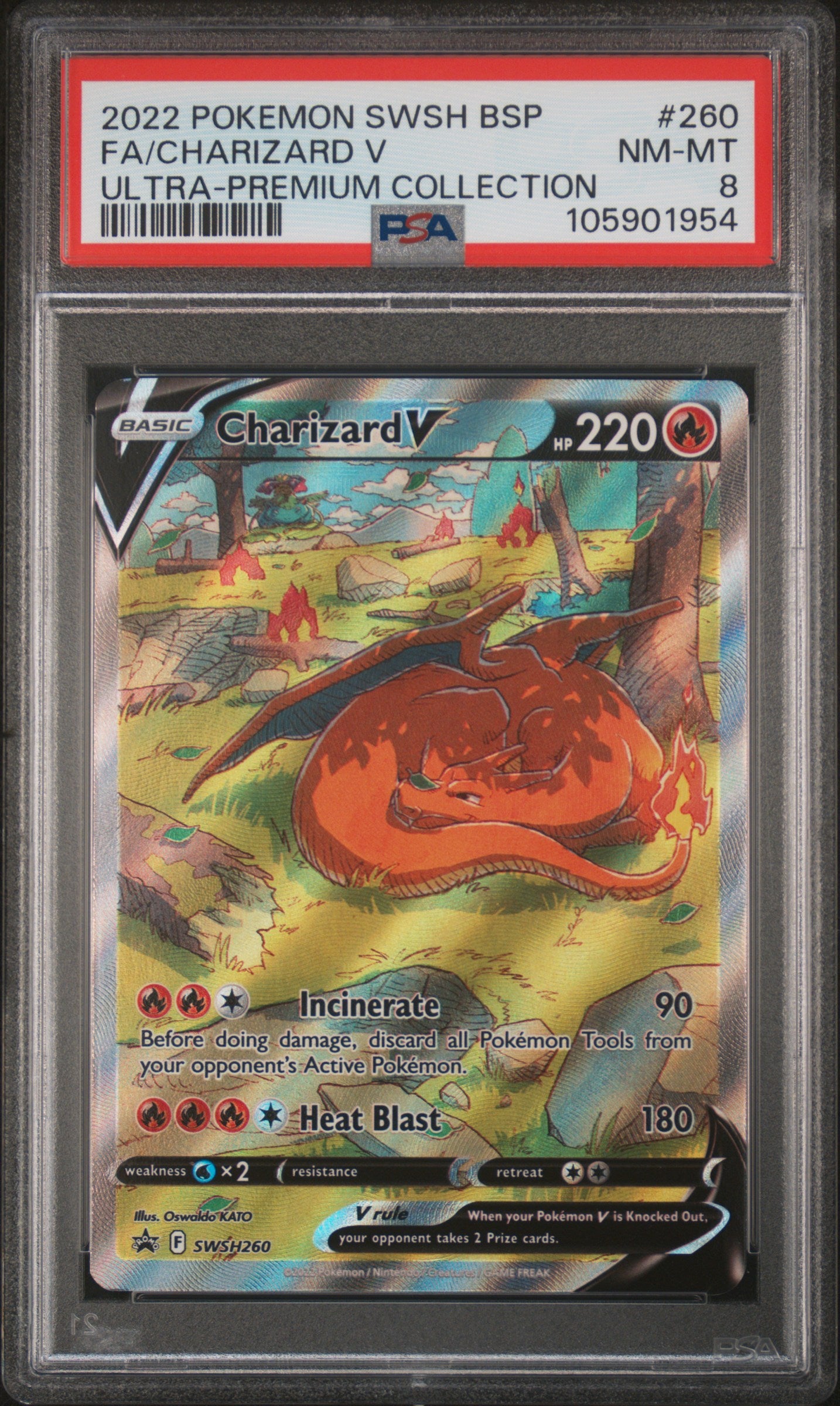 CHARIZARD V