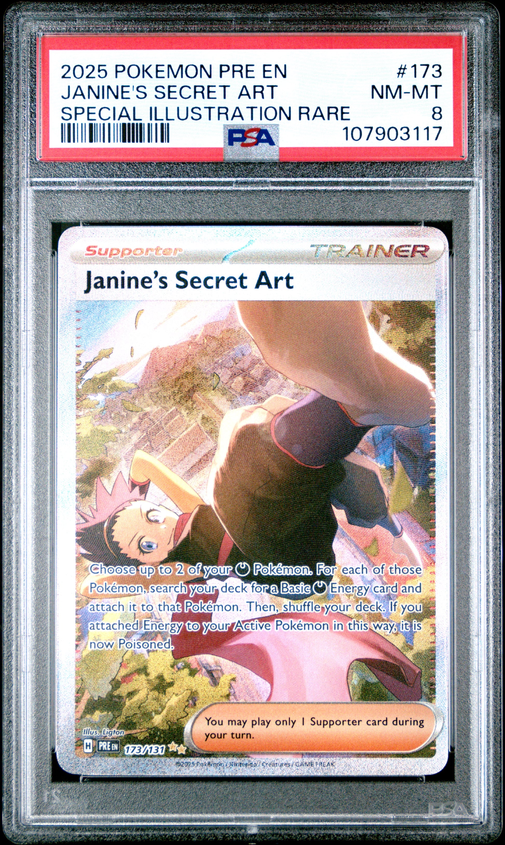 JANINE'S SECRET ART