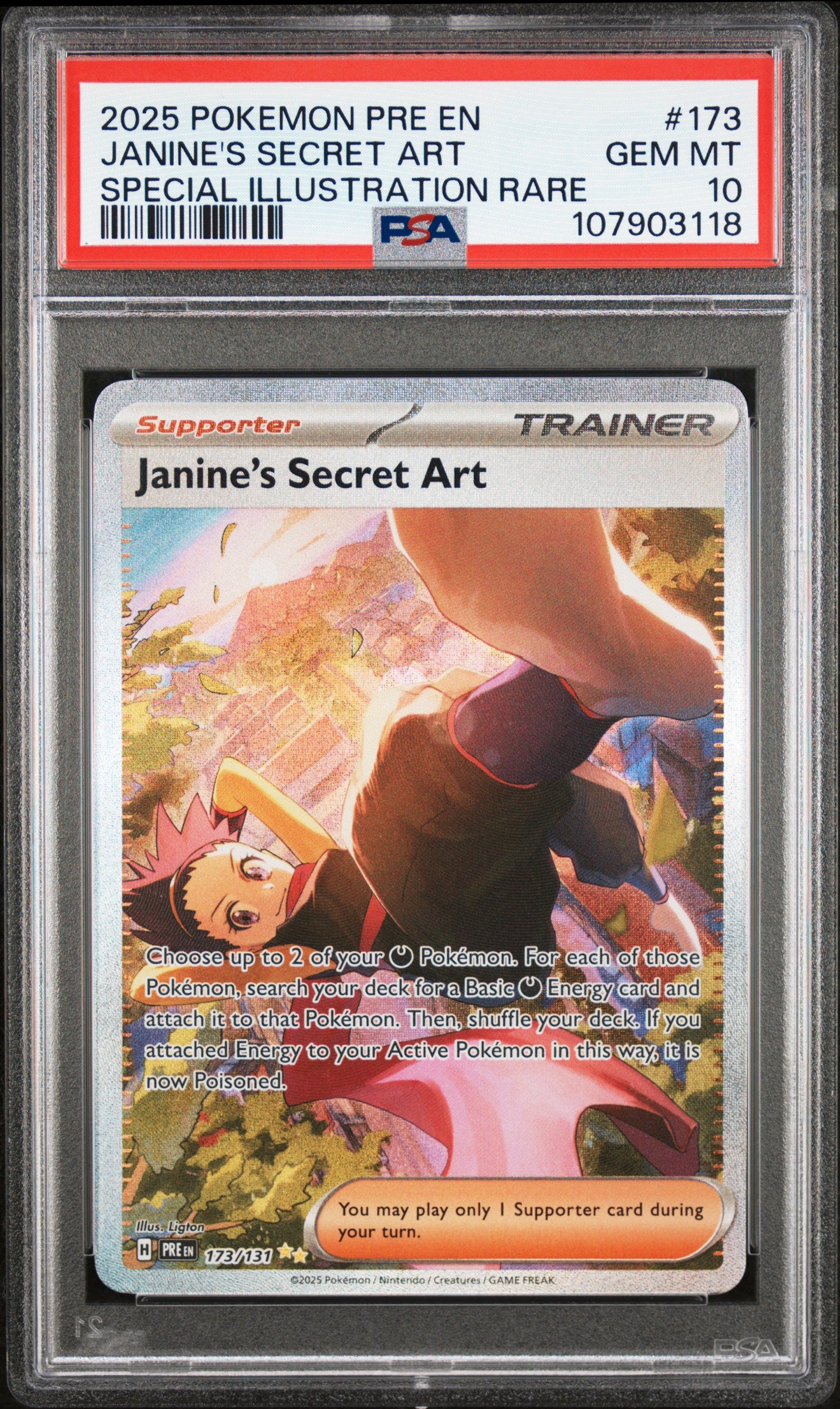 JANINE'S SECRET ART