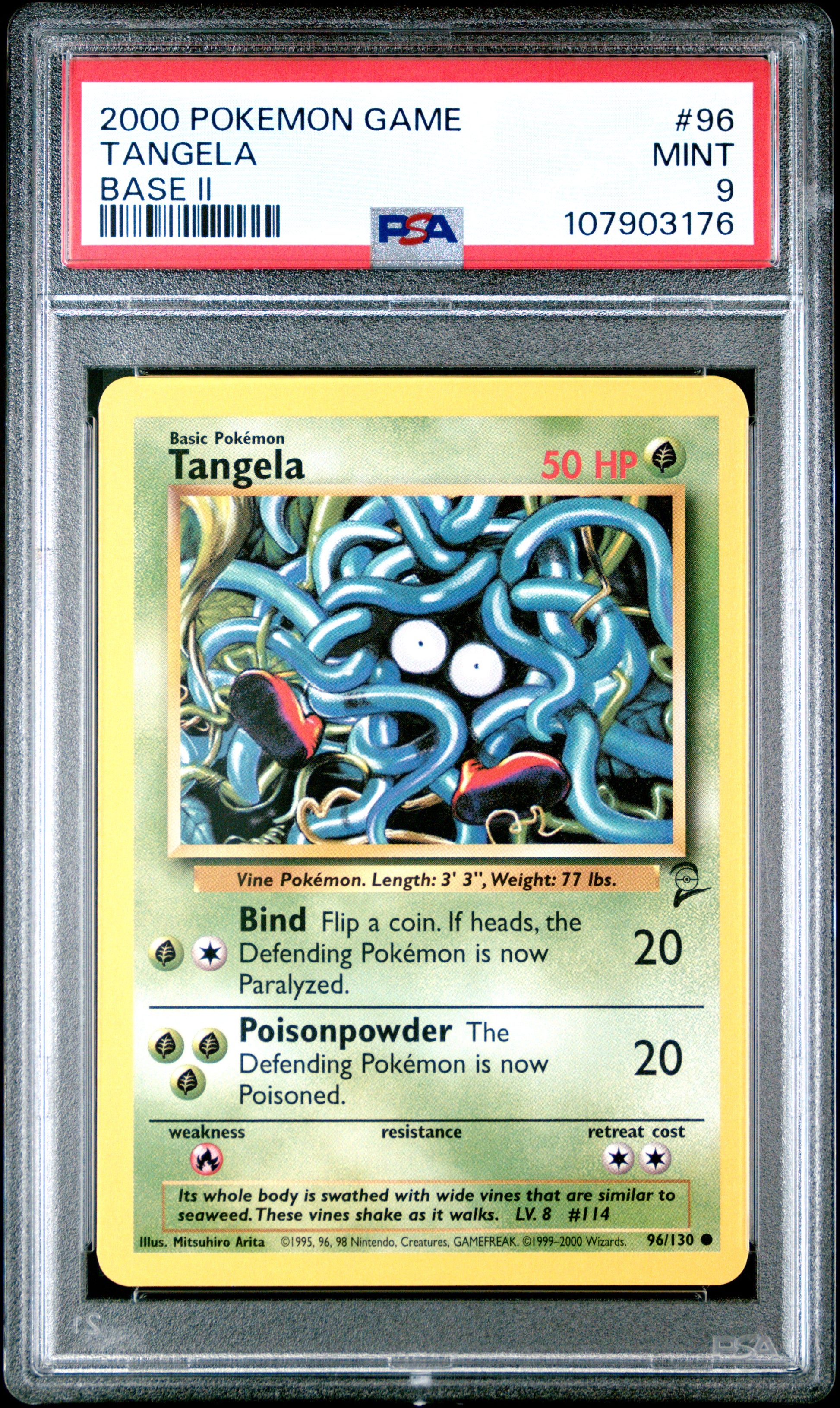 TANGELA