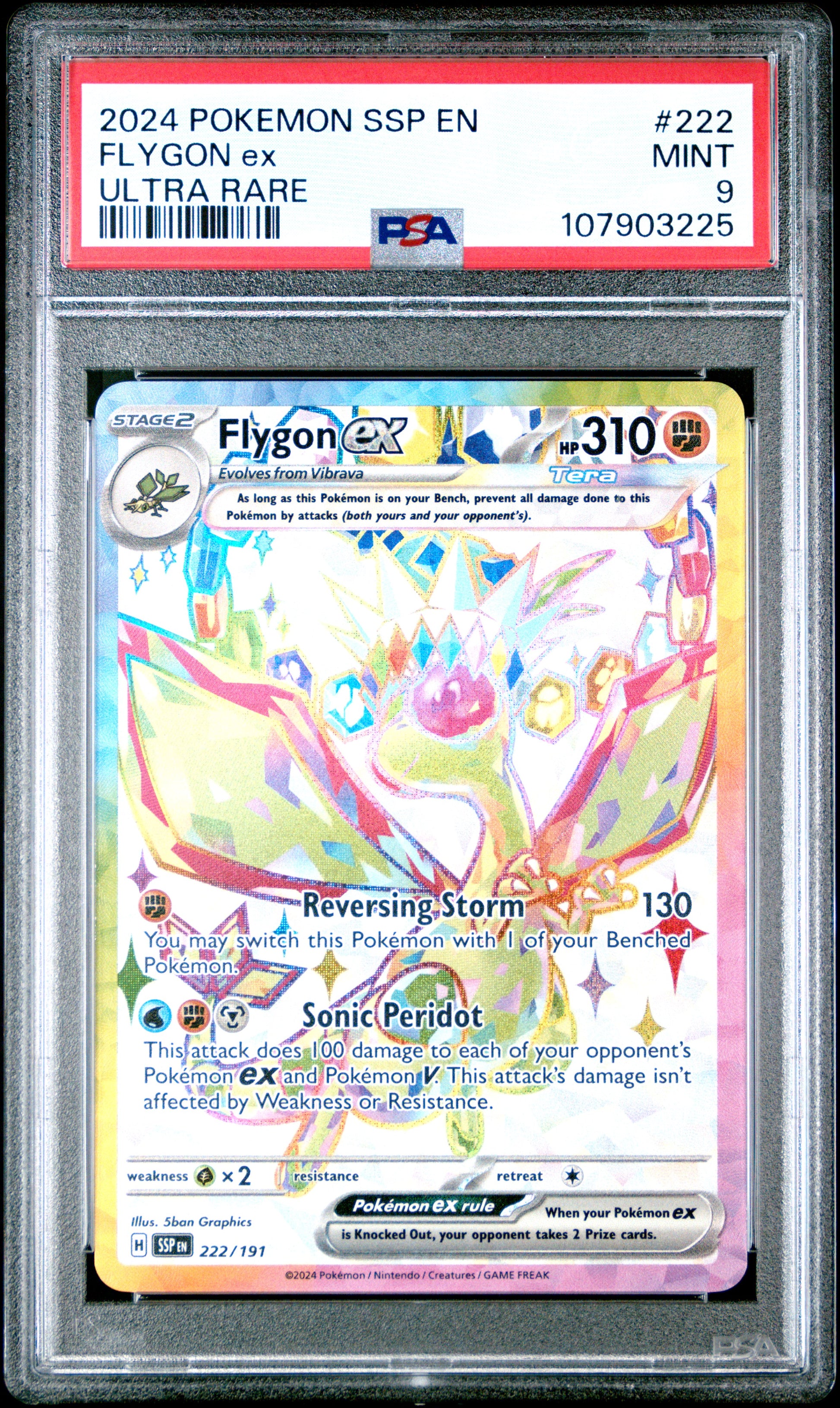FLYGON EX