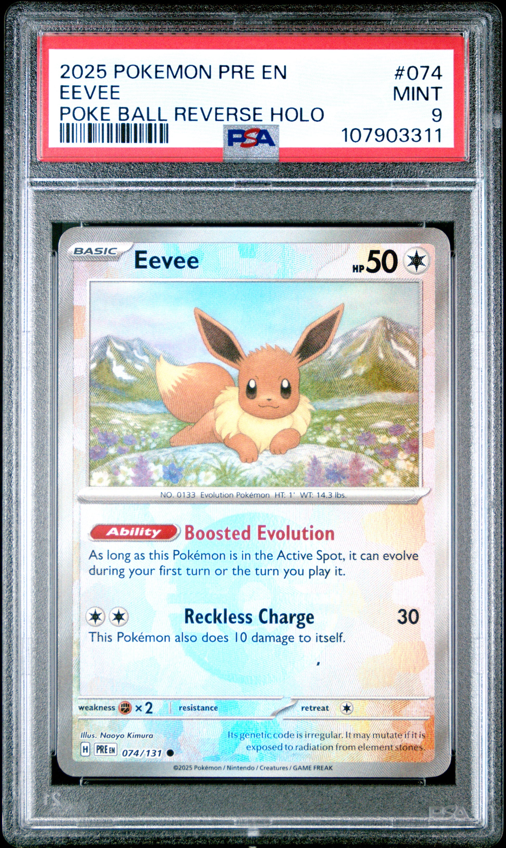 EEVEE