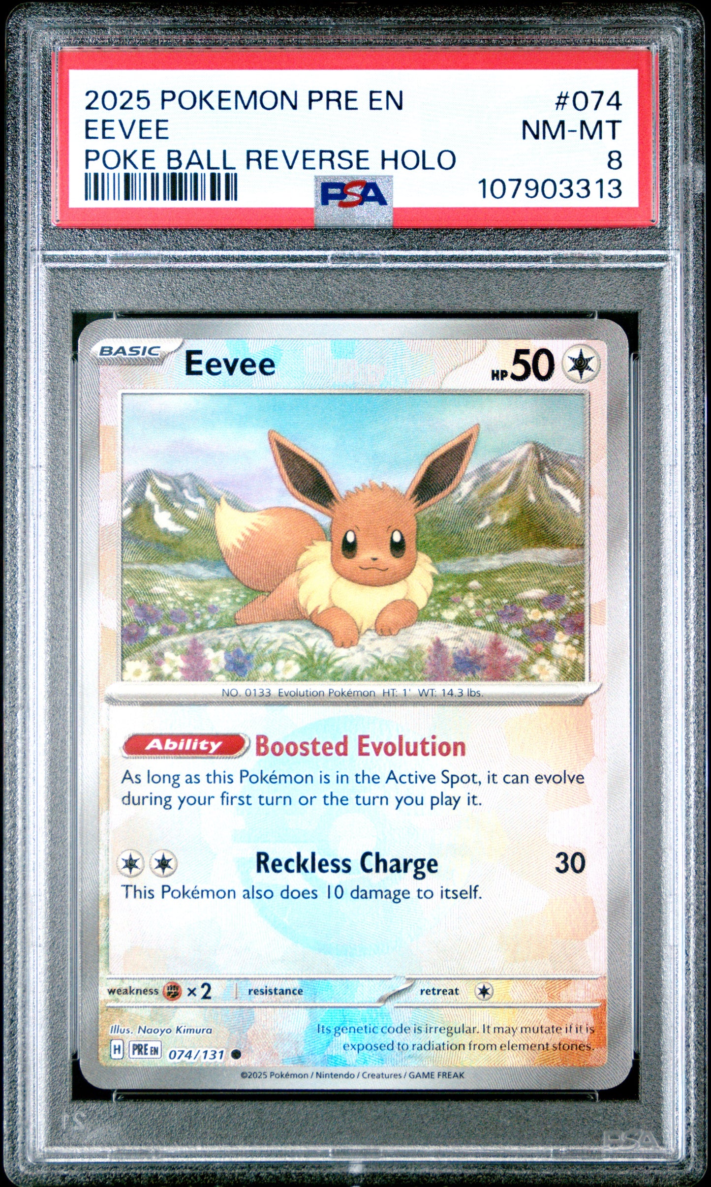EEVEE