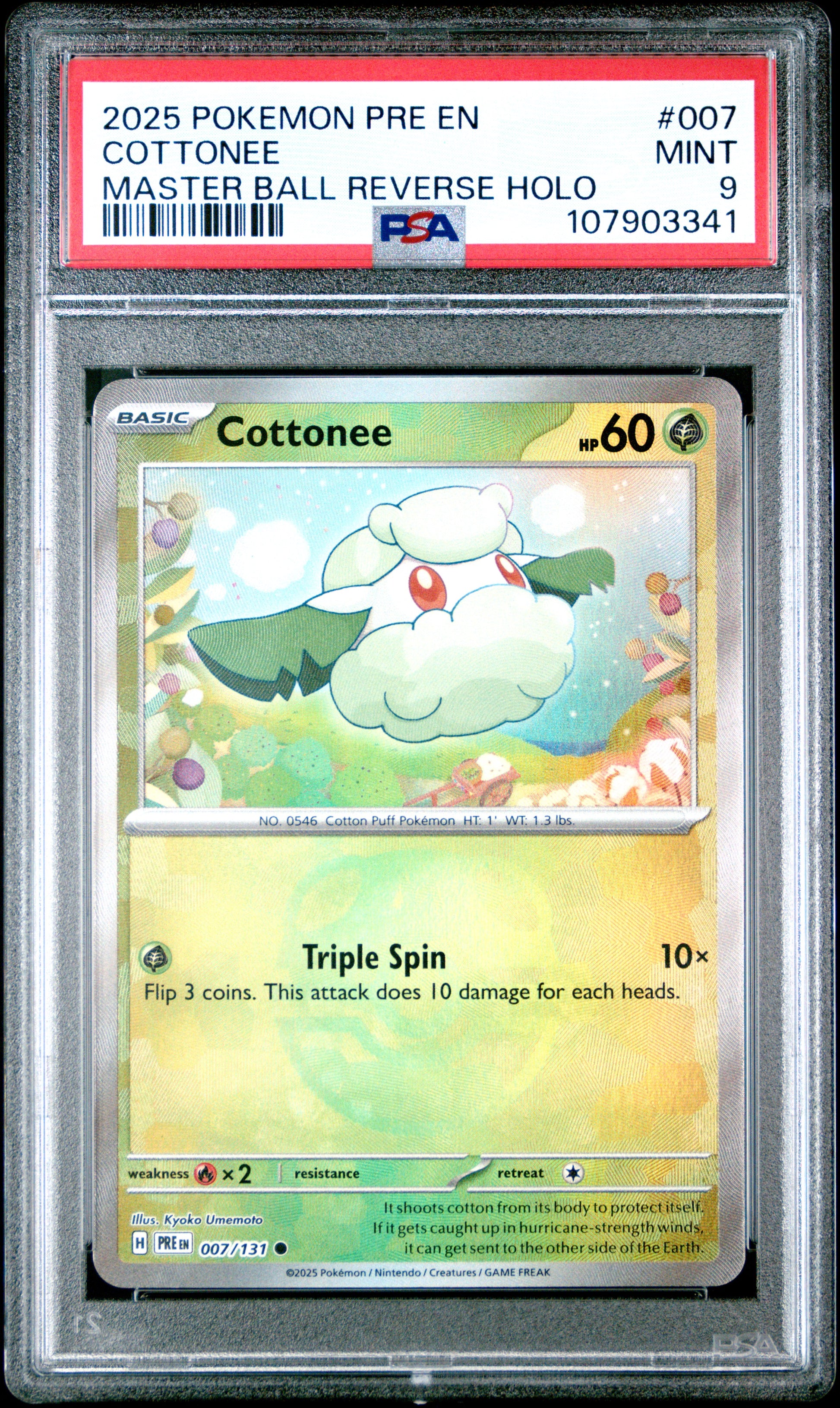 COTTONEE