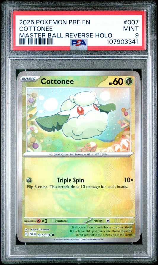 COTTONEE