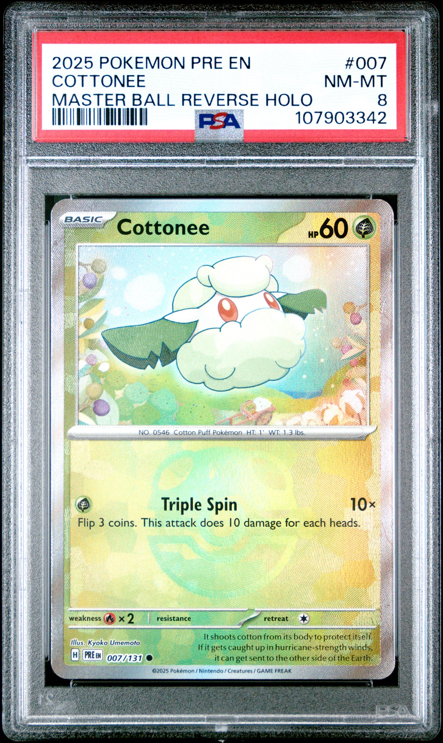 COTTONEE