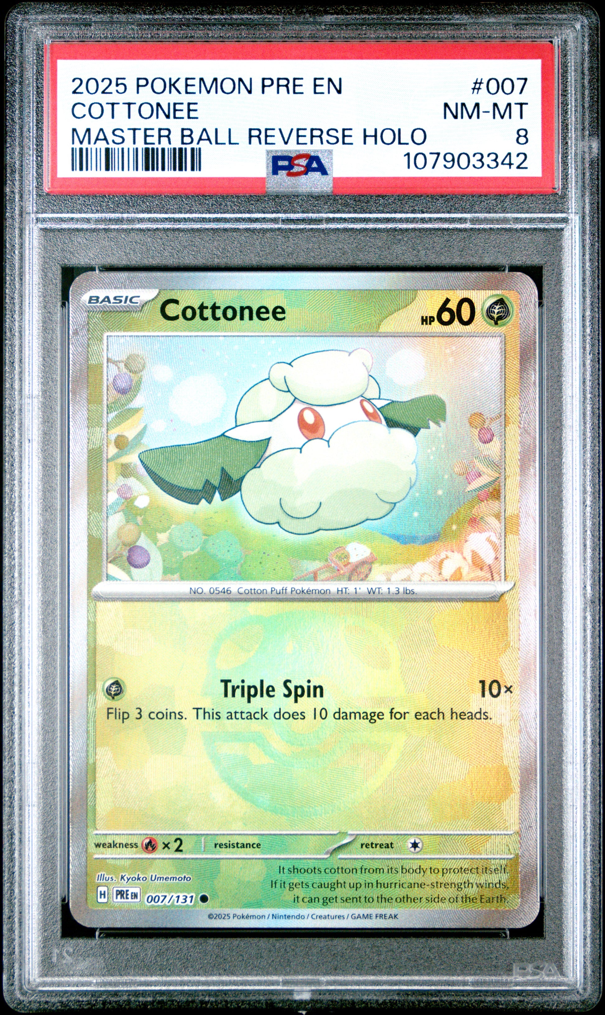 COTTONEE