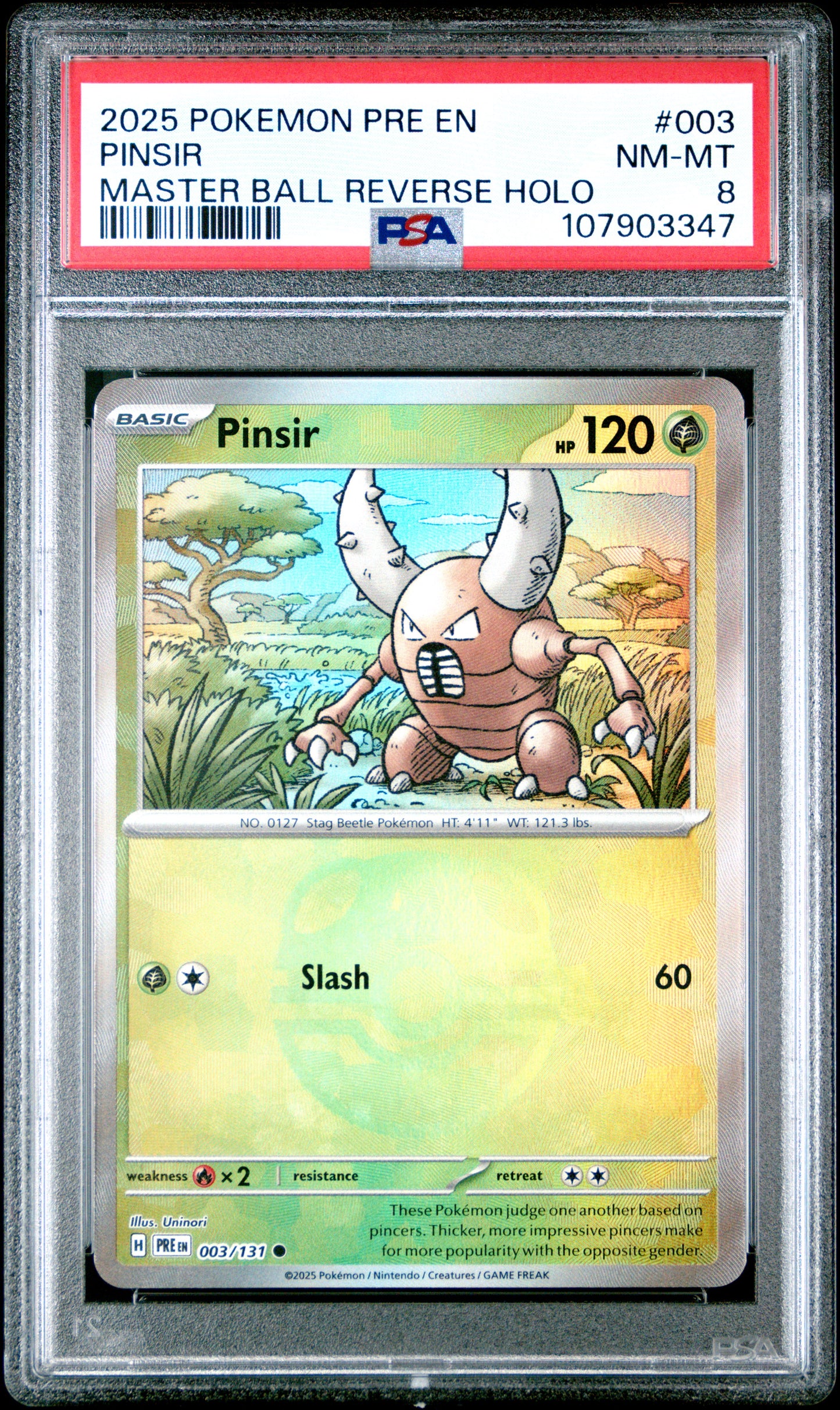 PINSIR