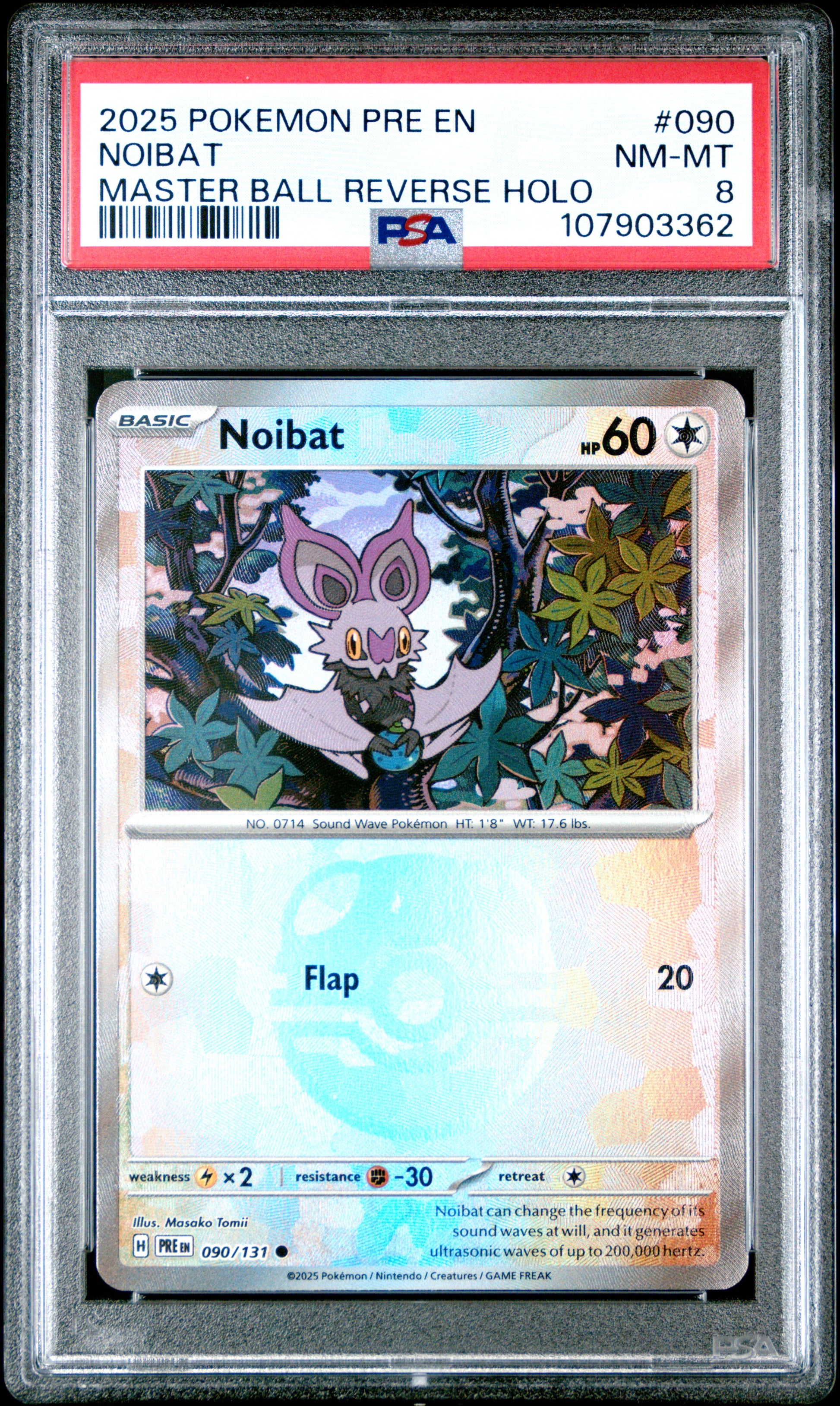 NOIBAT
