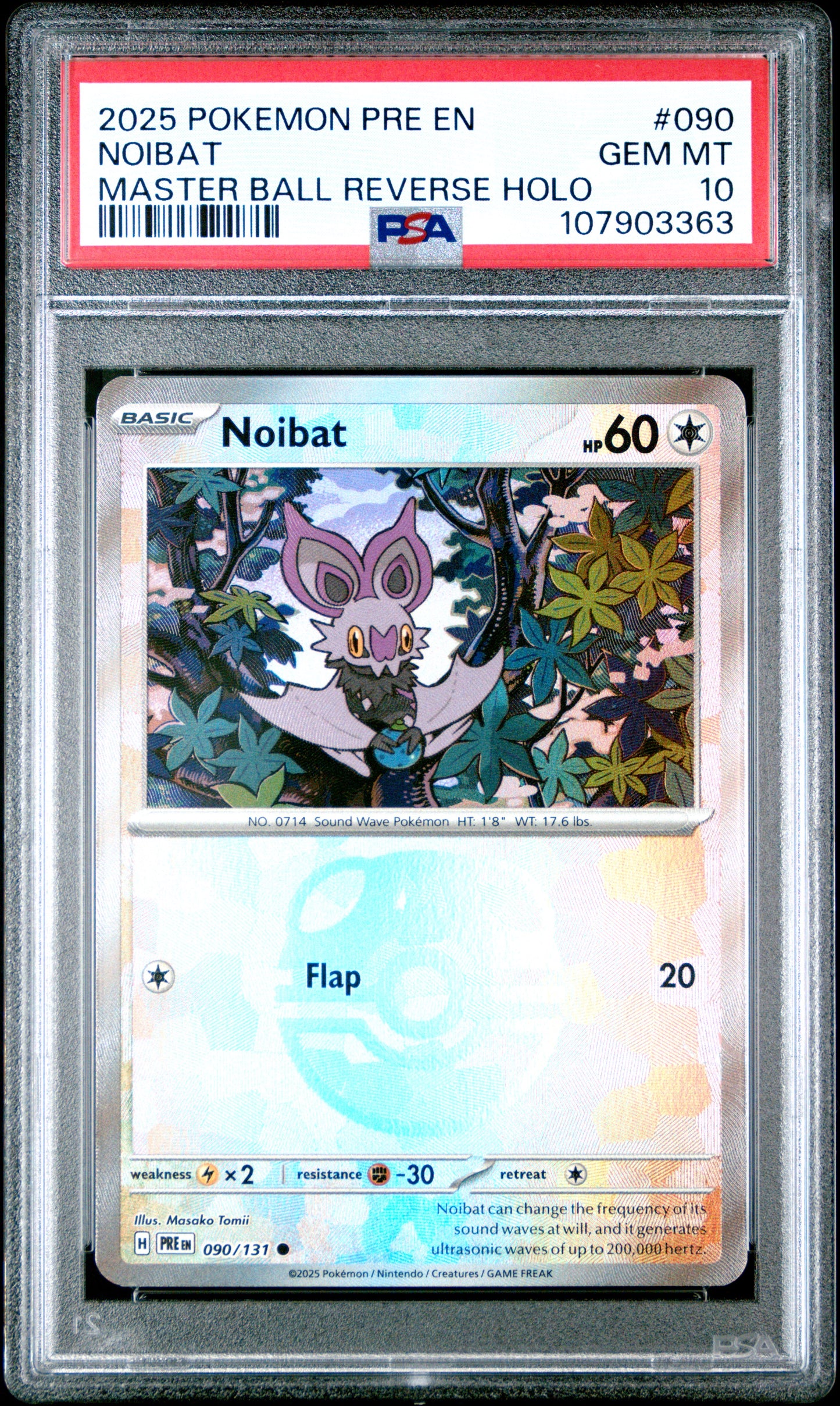 NOIBAT