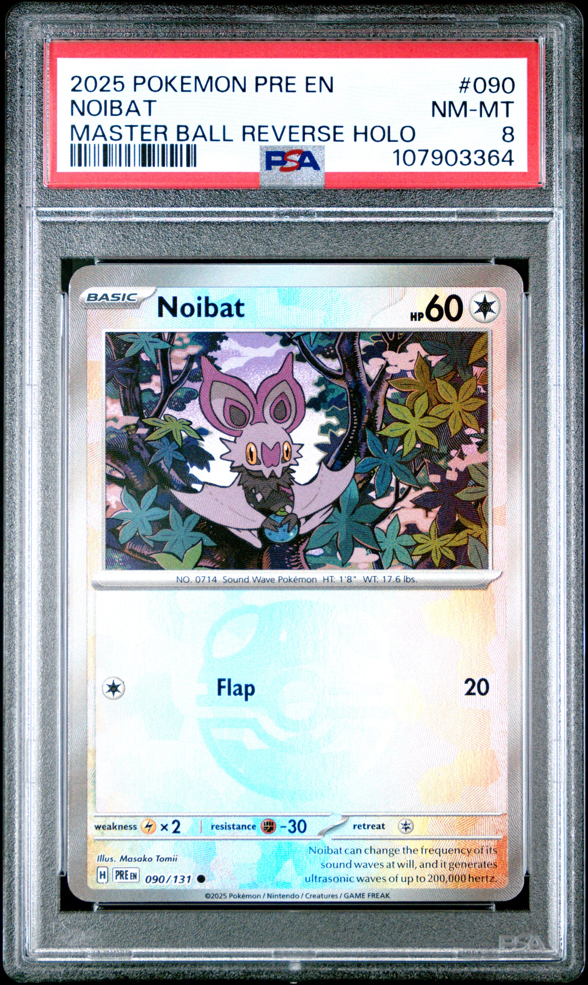 NOIBAT