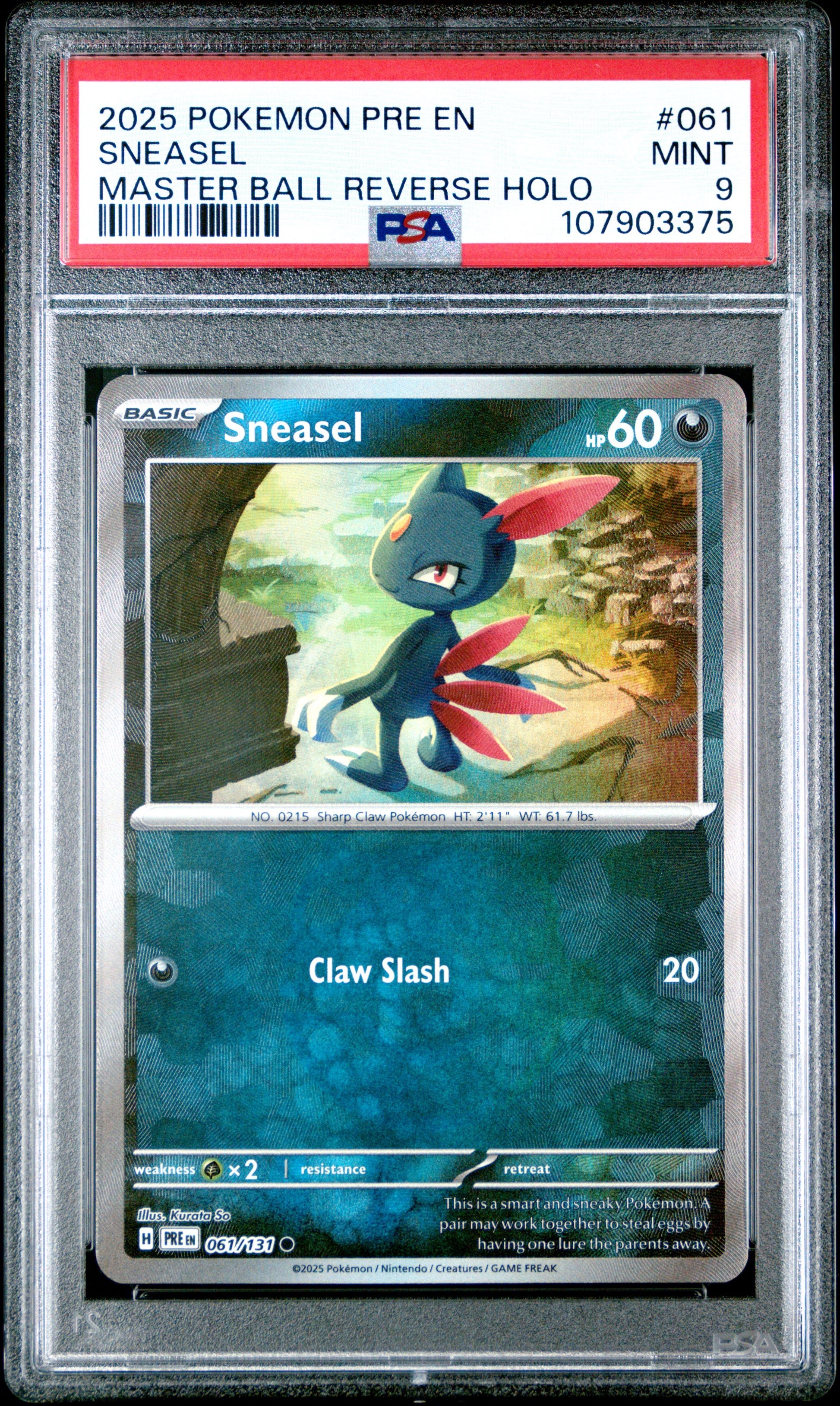 SNEASEL