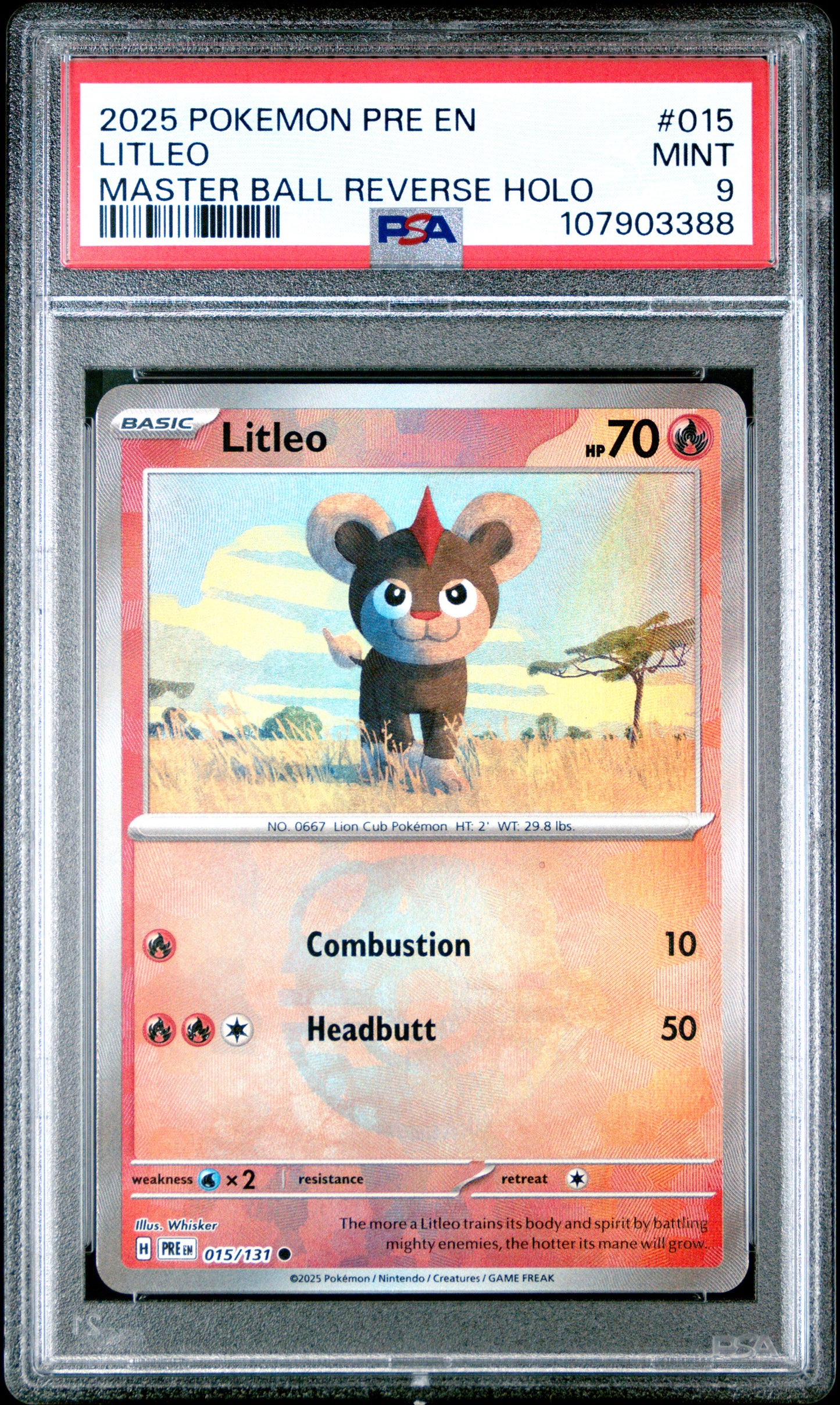 LITLEO