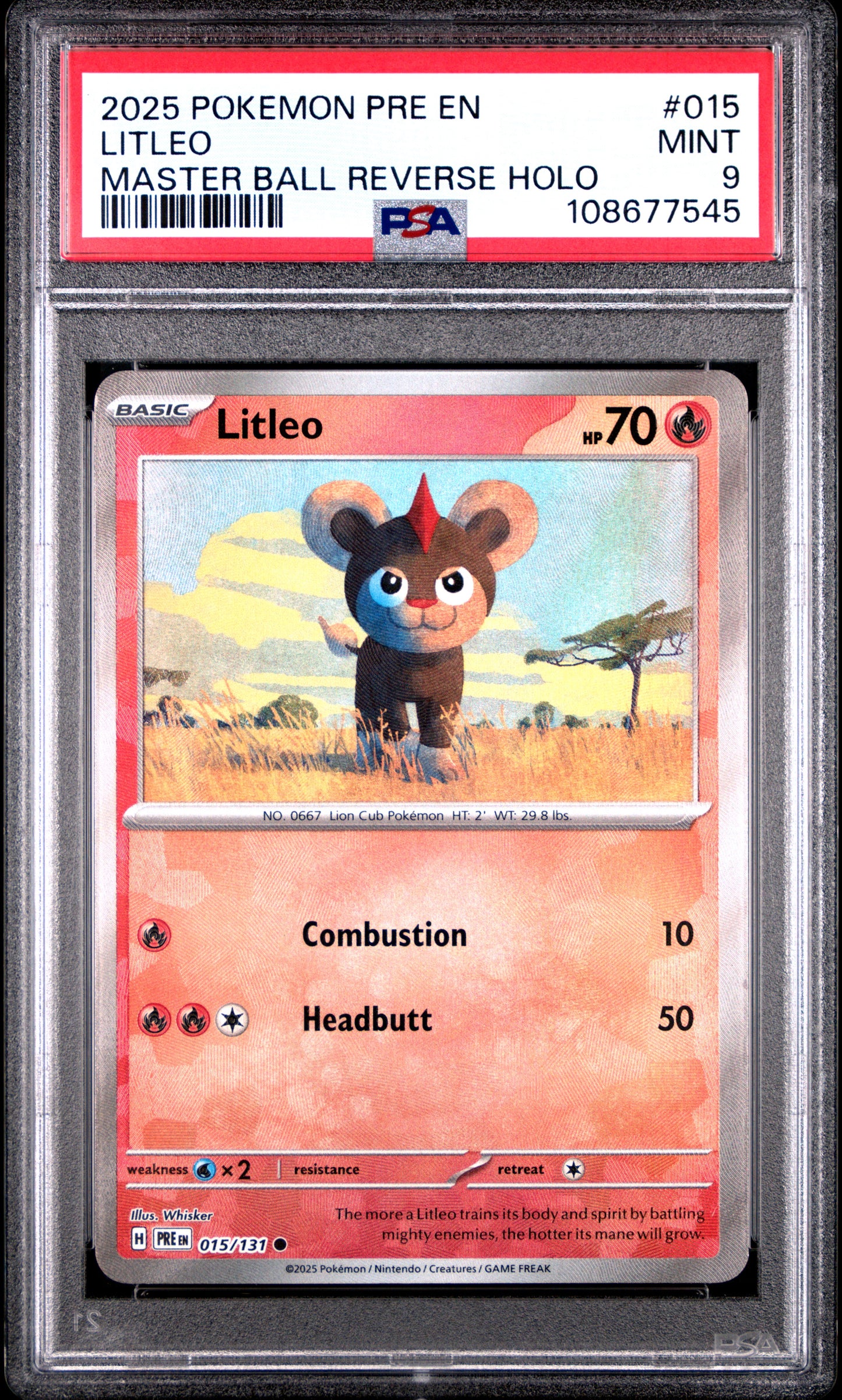 LITLEO