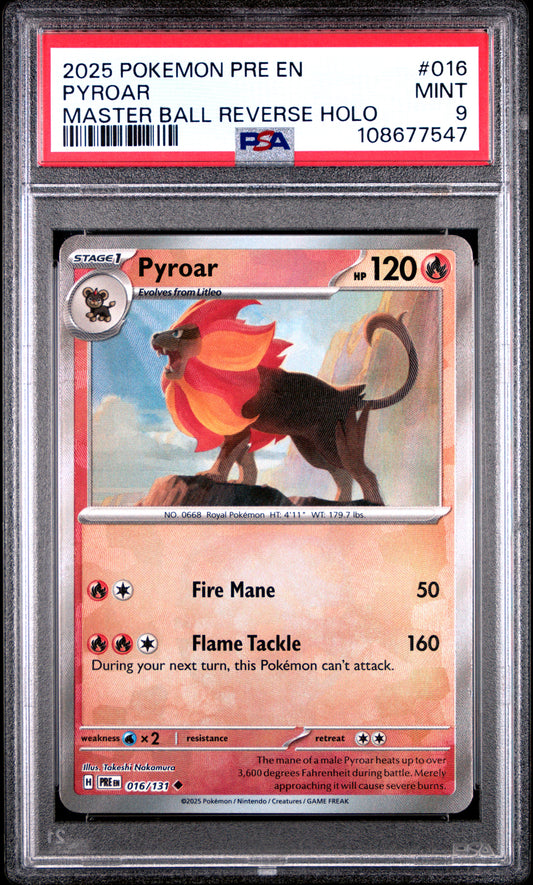 PYROAR