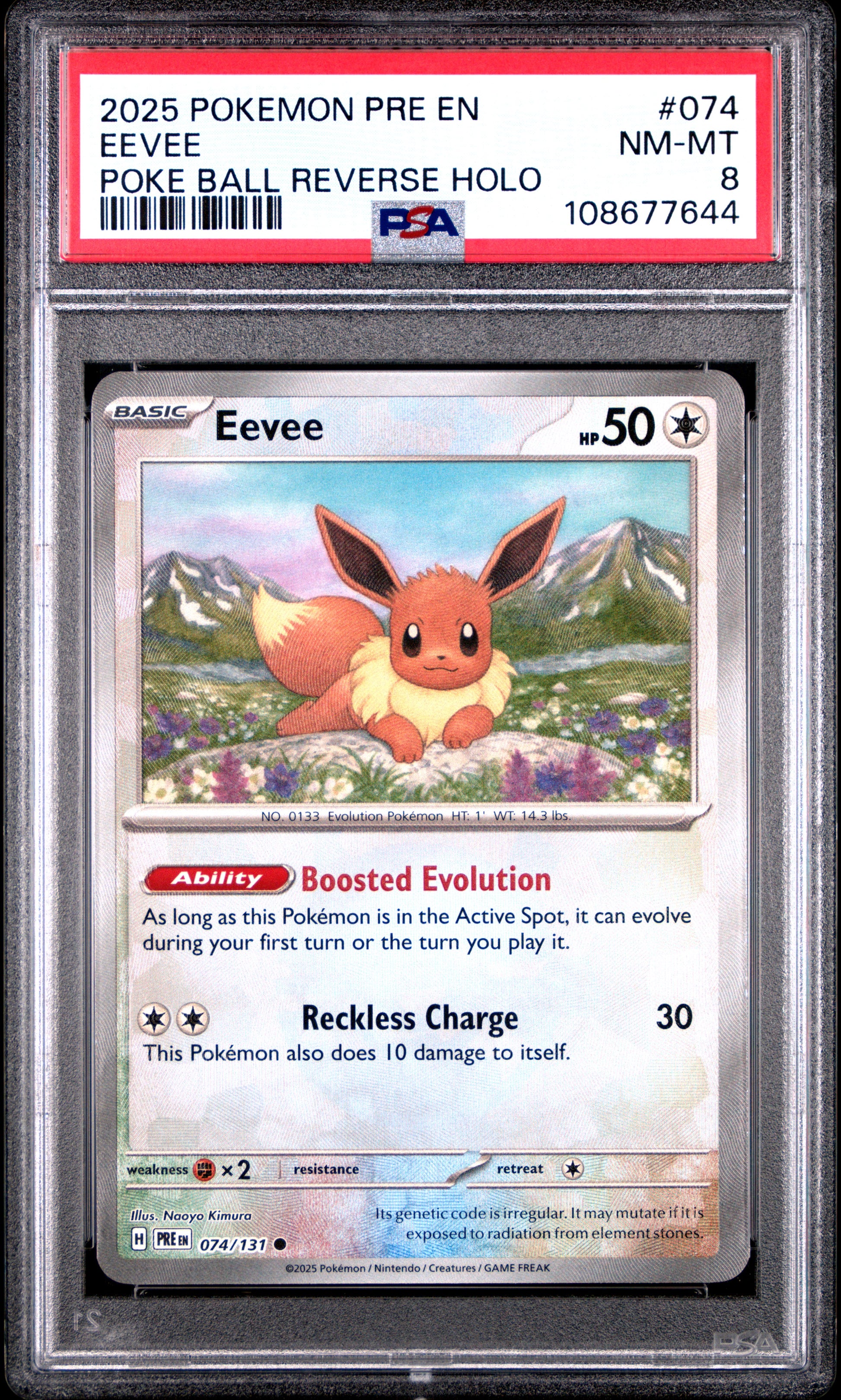 EEVEE