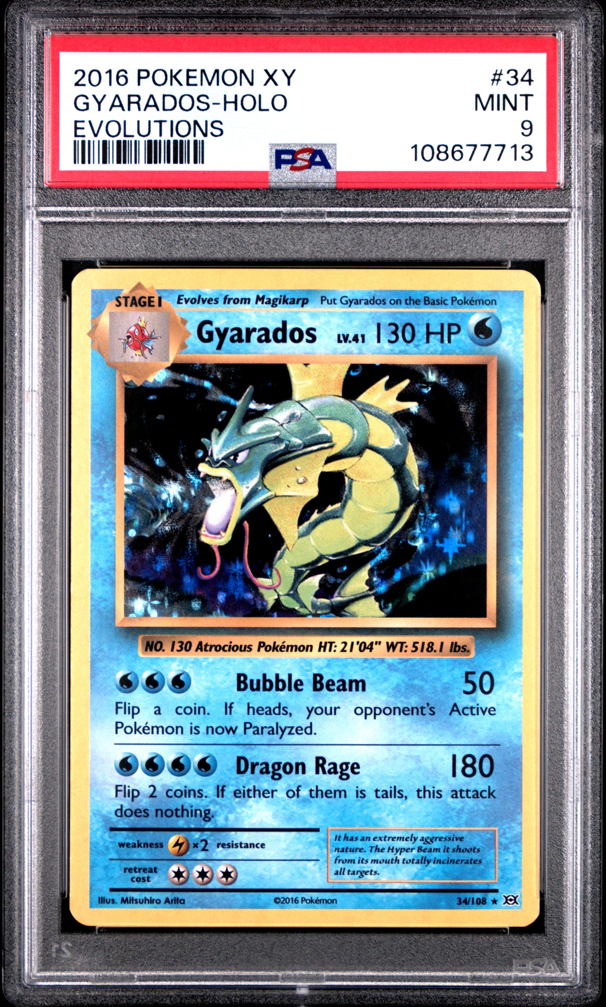 GYARADOS-HOLO