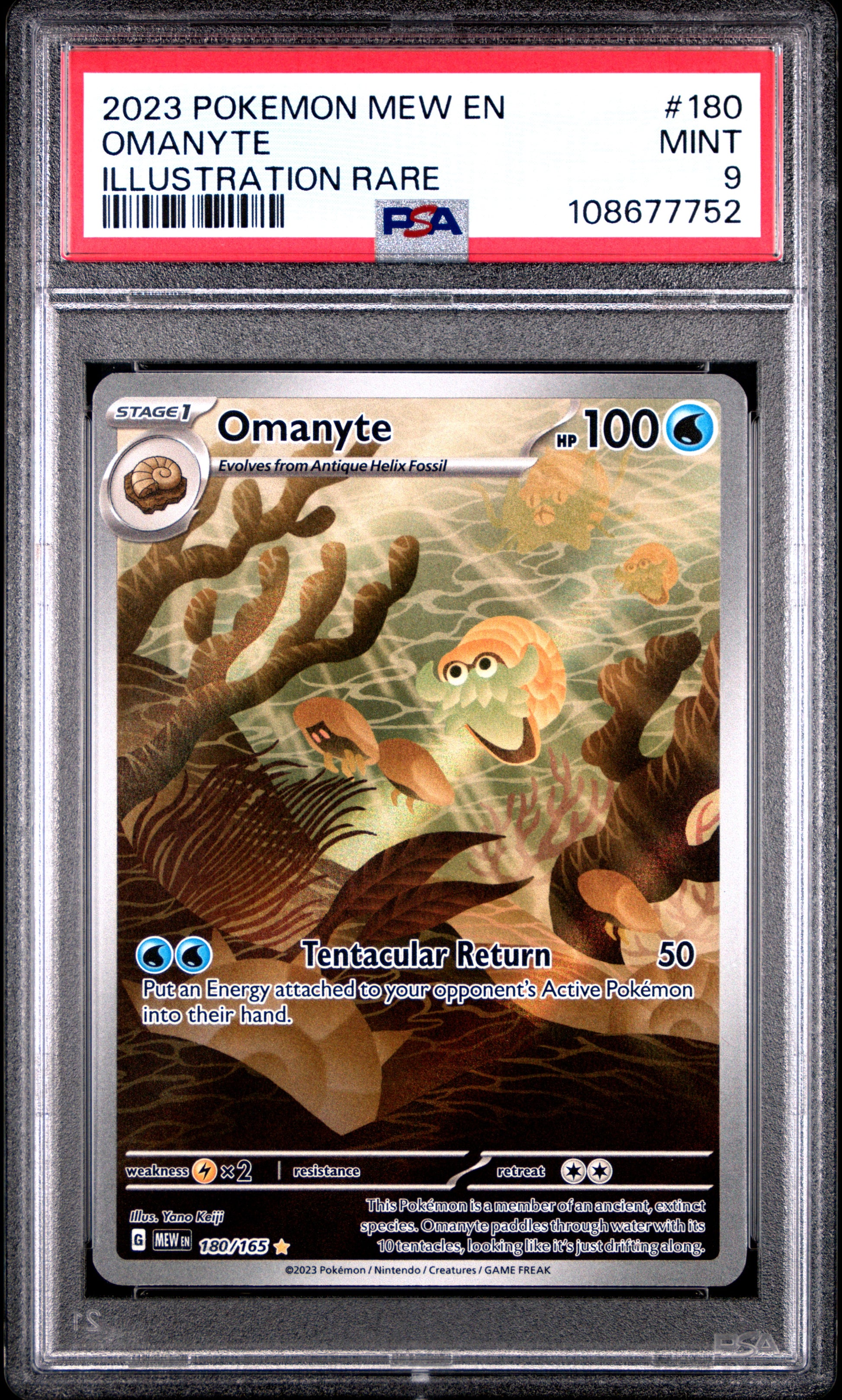 OMANYTE