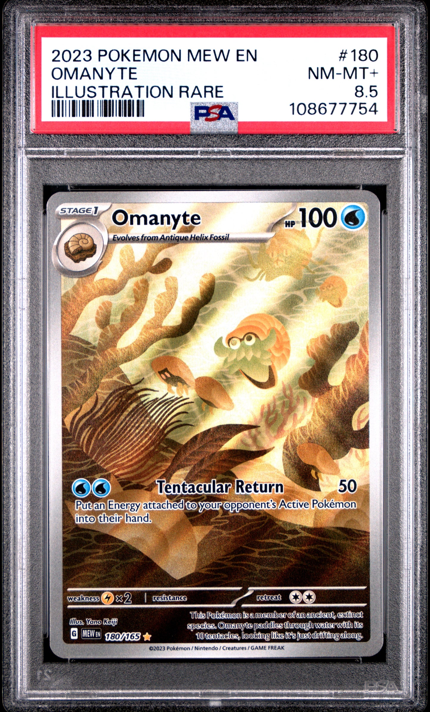 OMANYTE