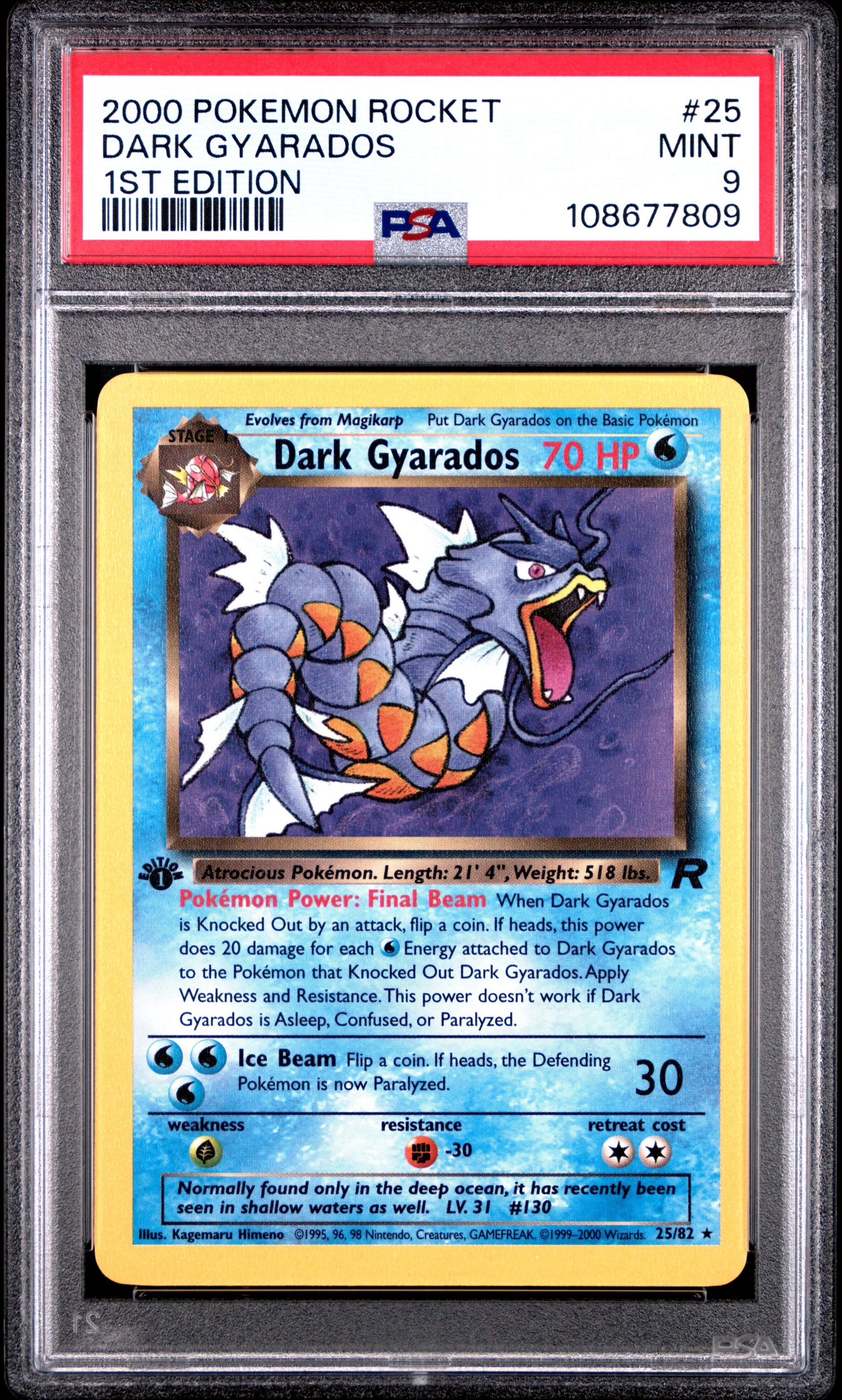 DARK GYARADOS