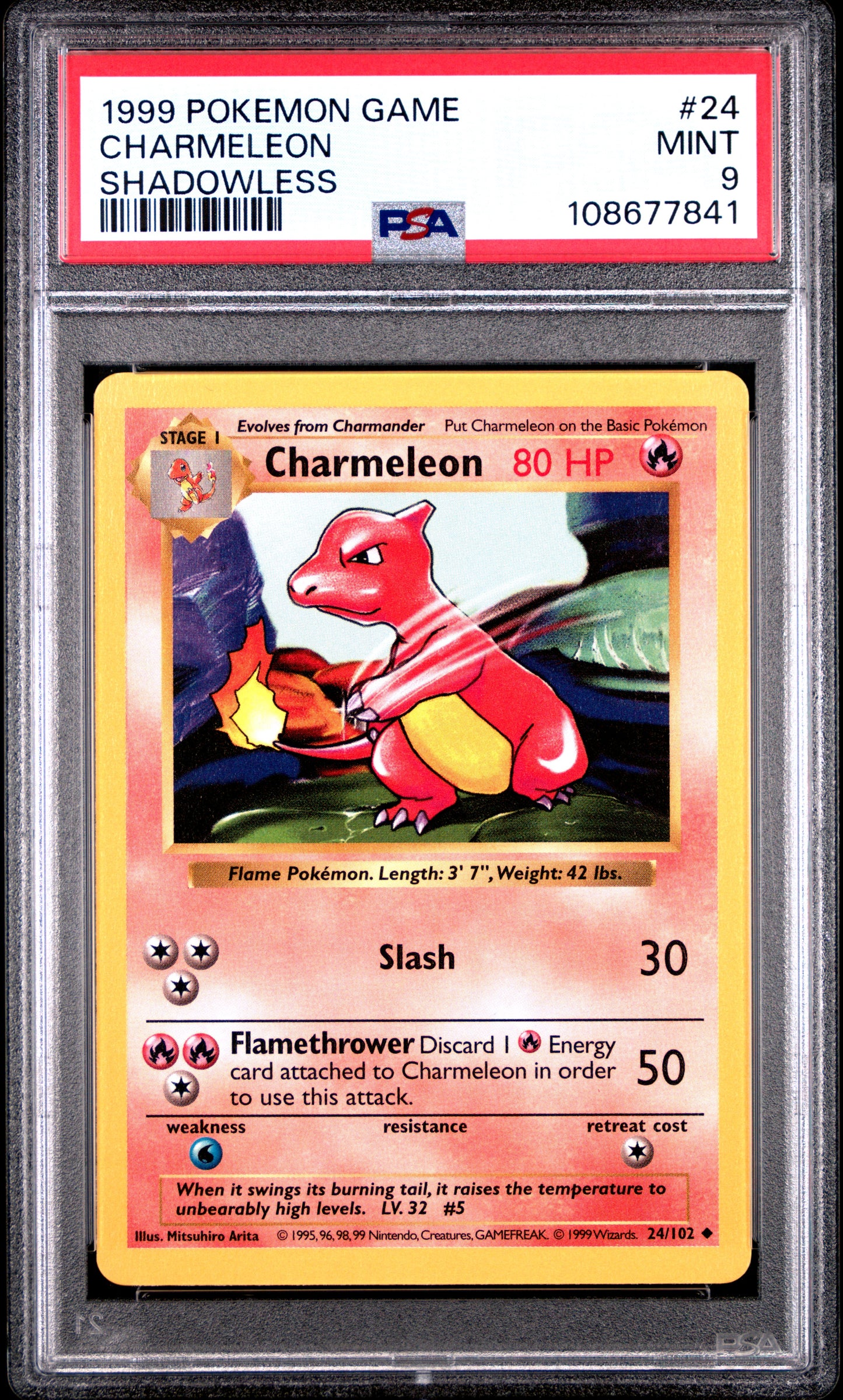 CHARMELEON