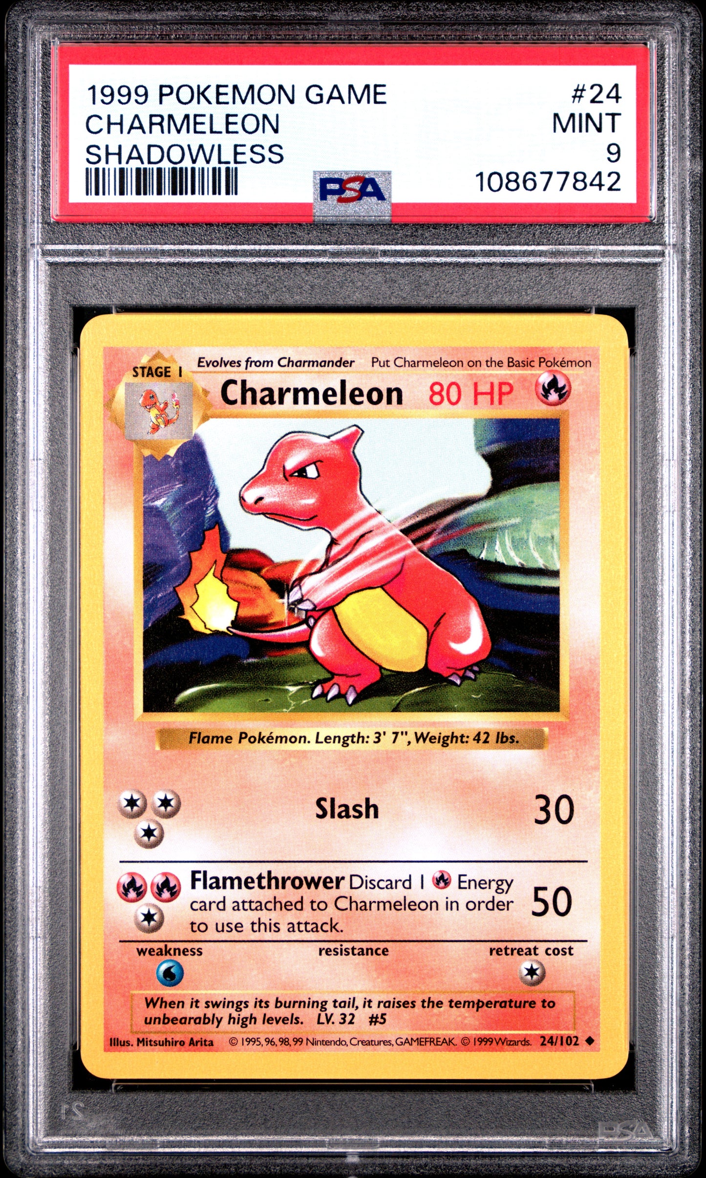 CHARMELEON