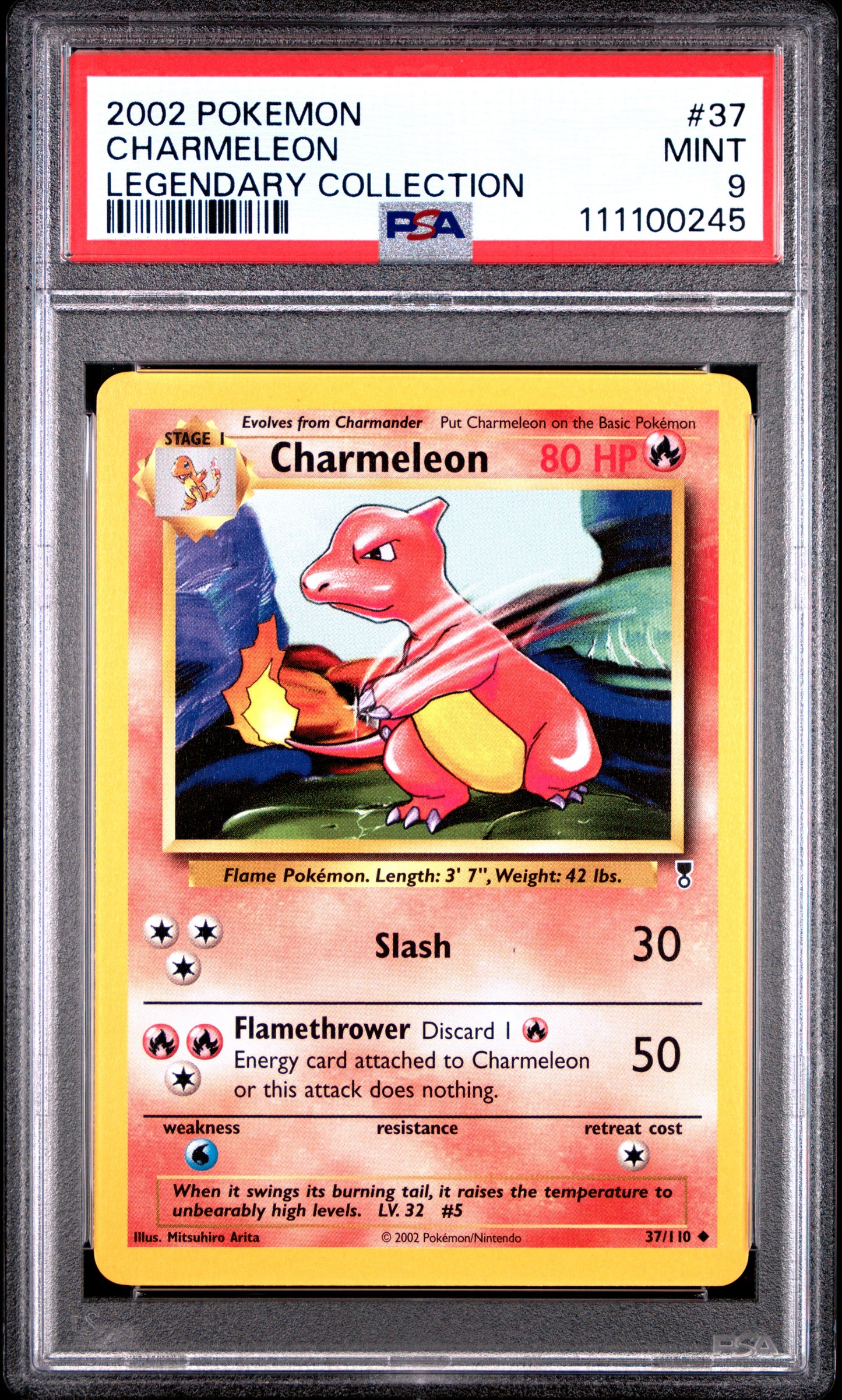 CHARMELEON