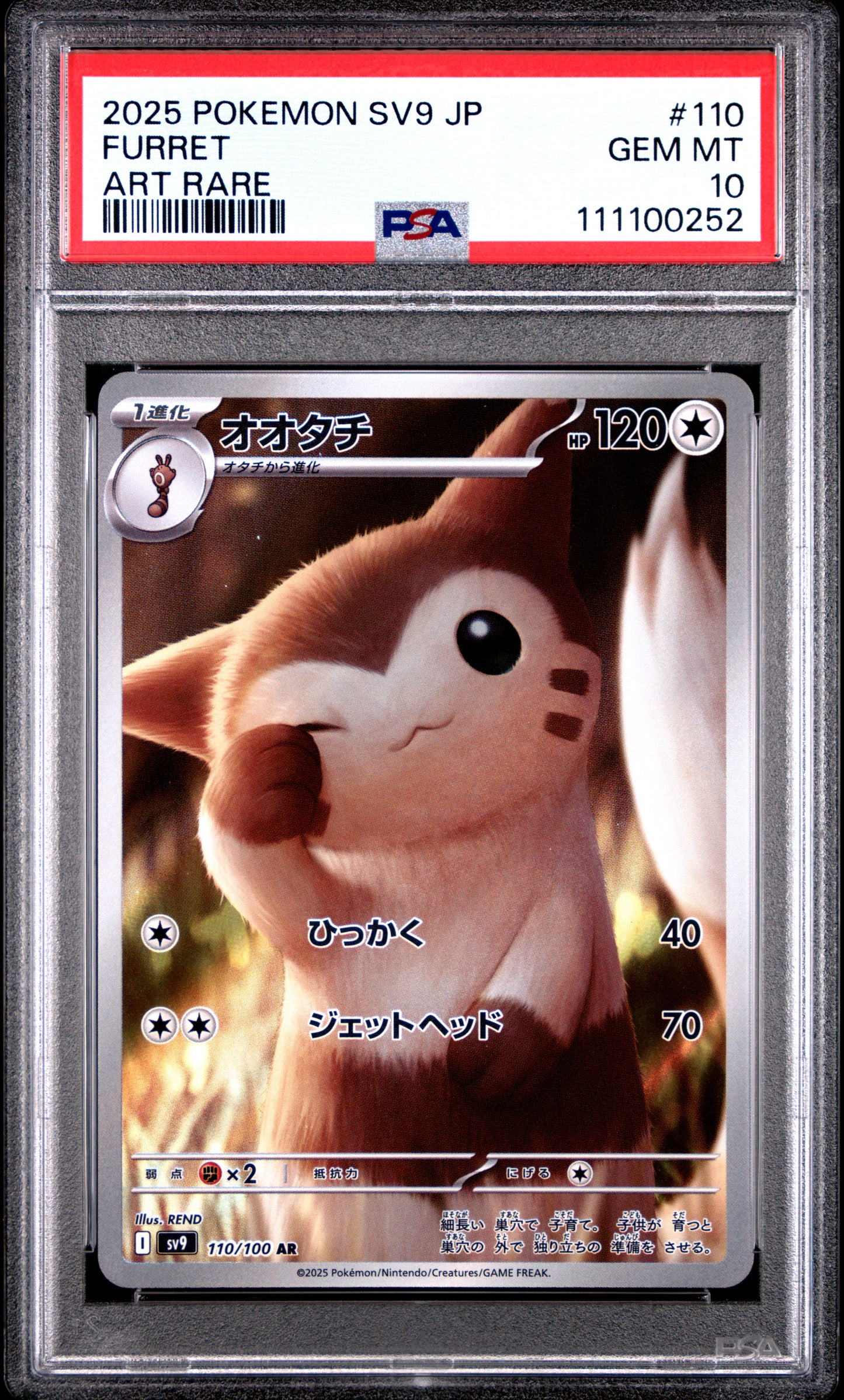 FURRET