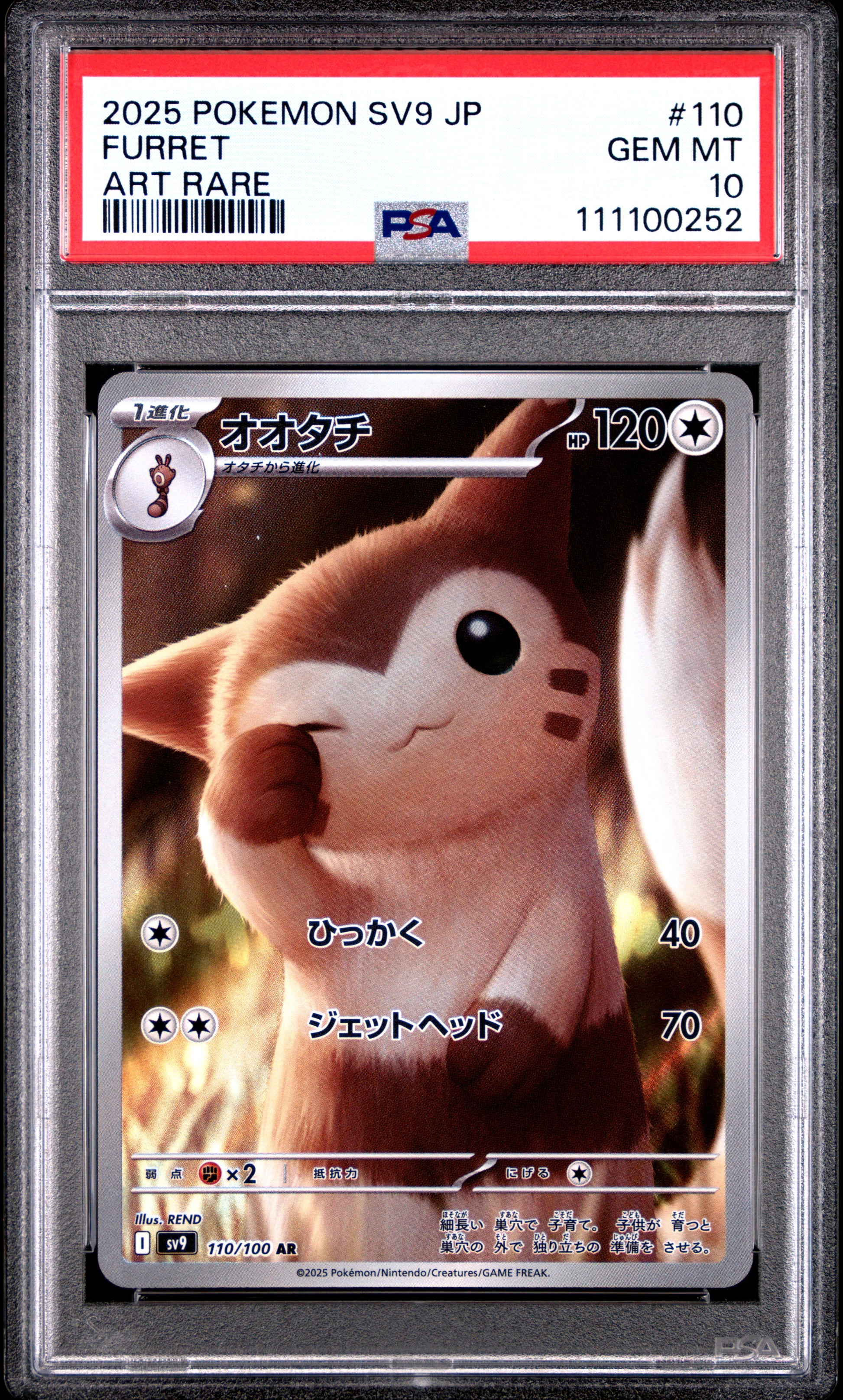 FURRET