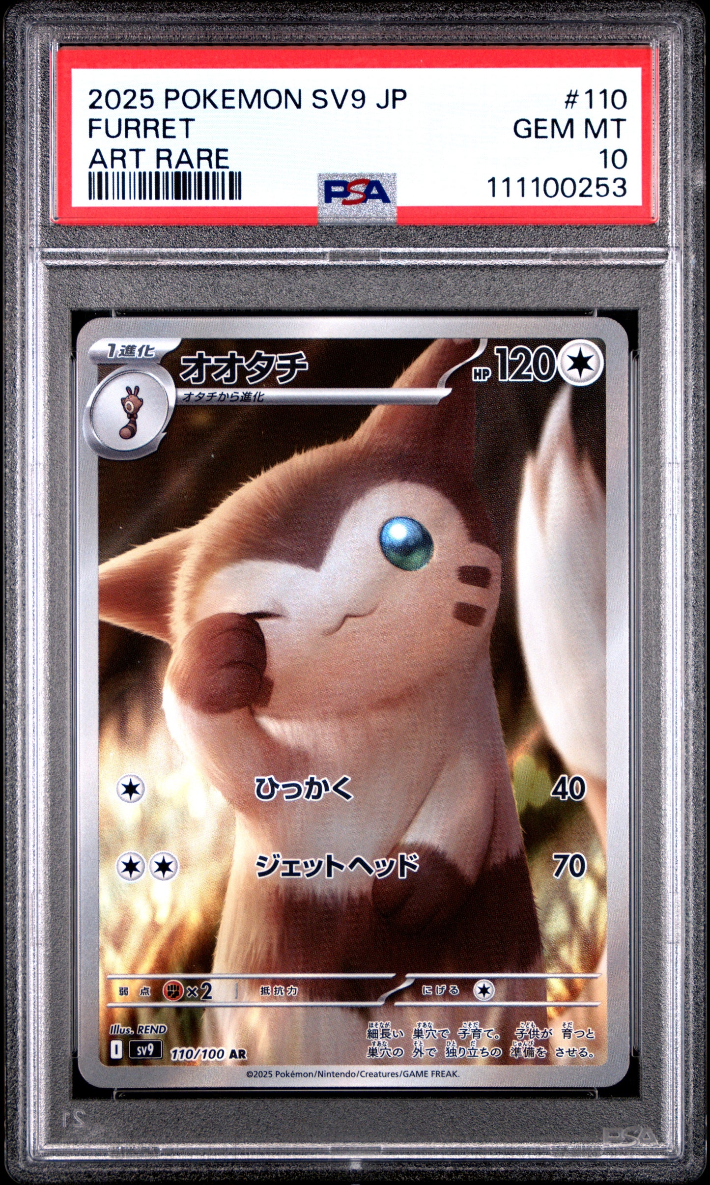 FURRET