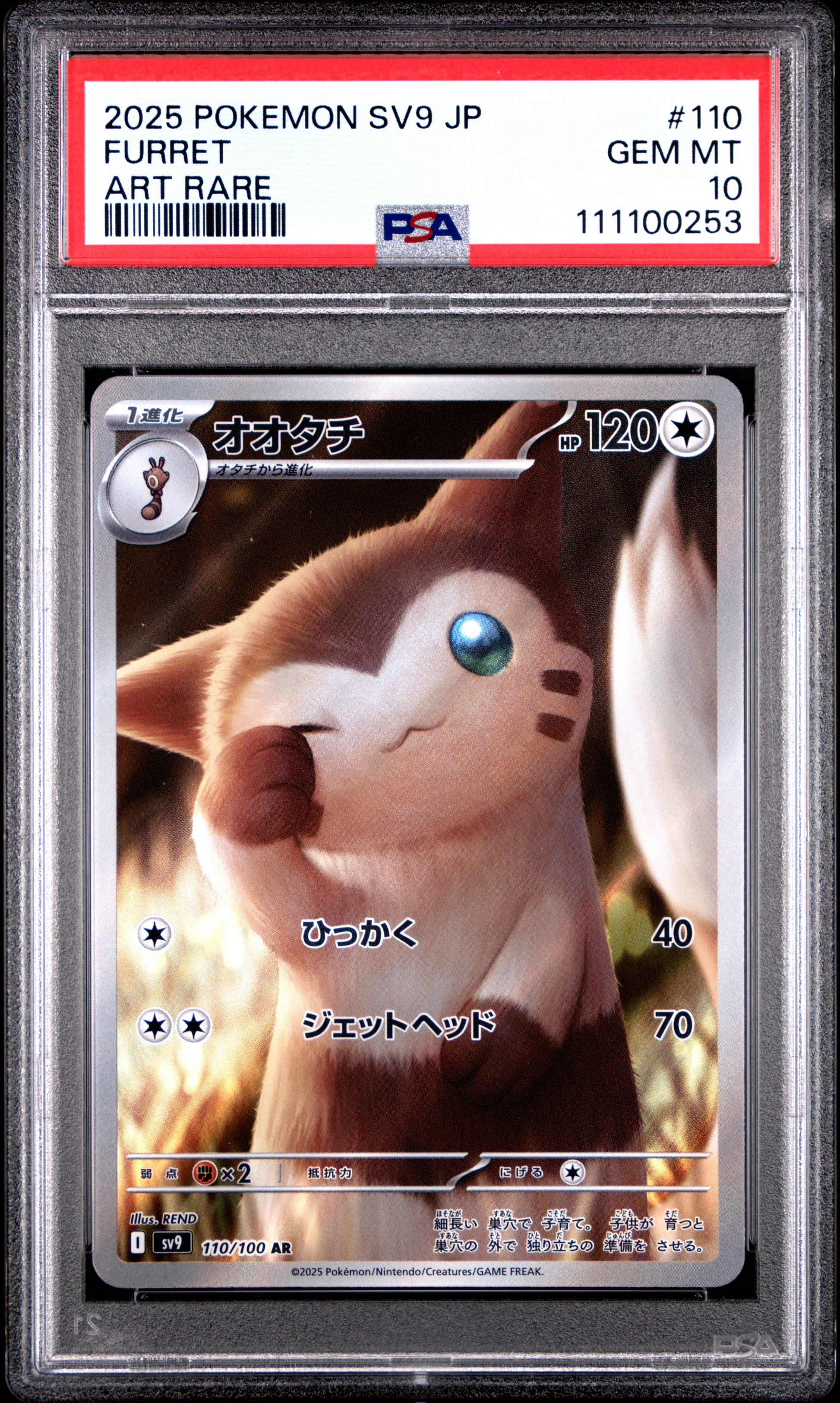FURRET