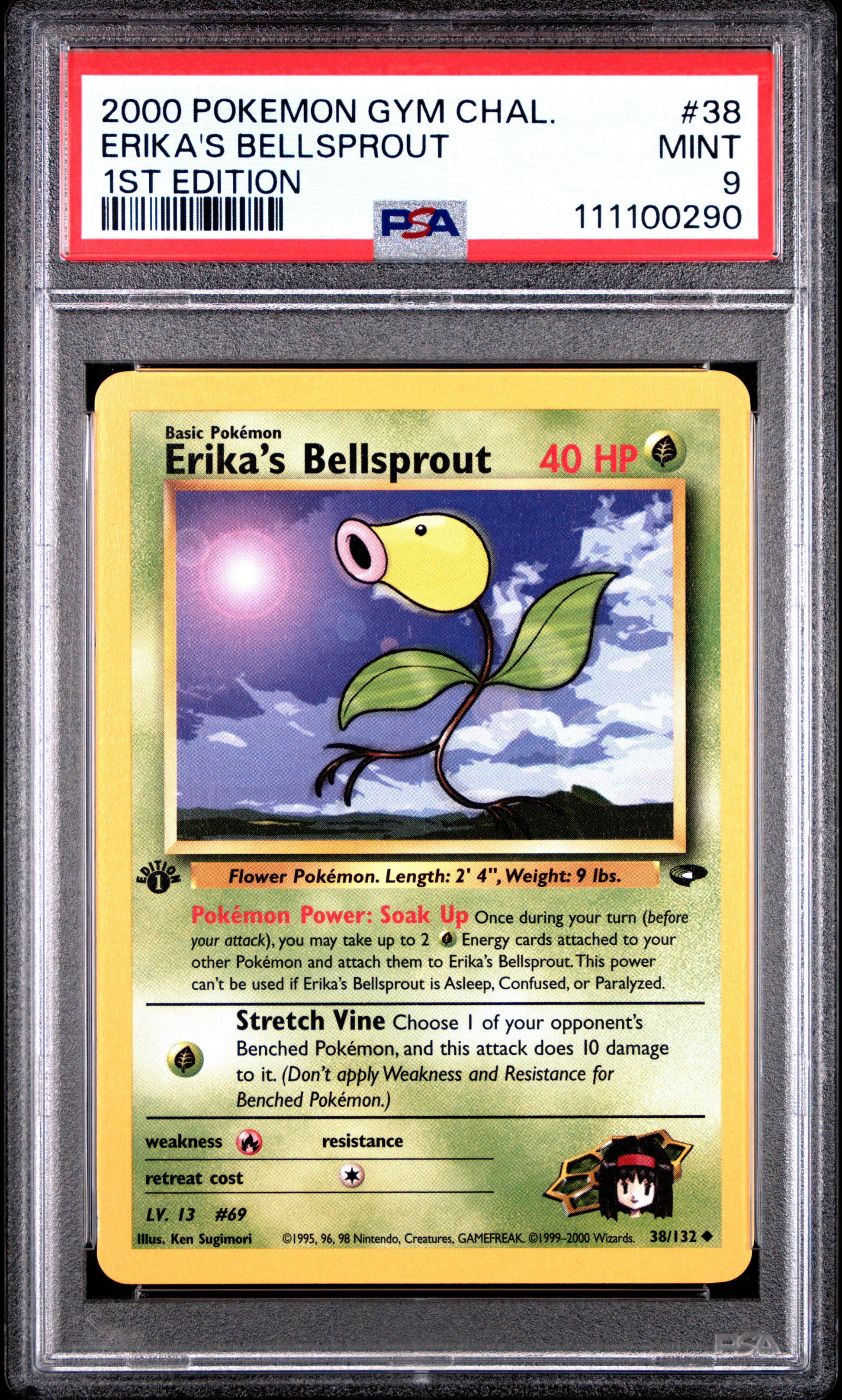 ERIKA'S BELLSPROUT