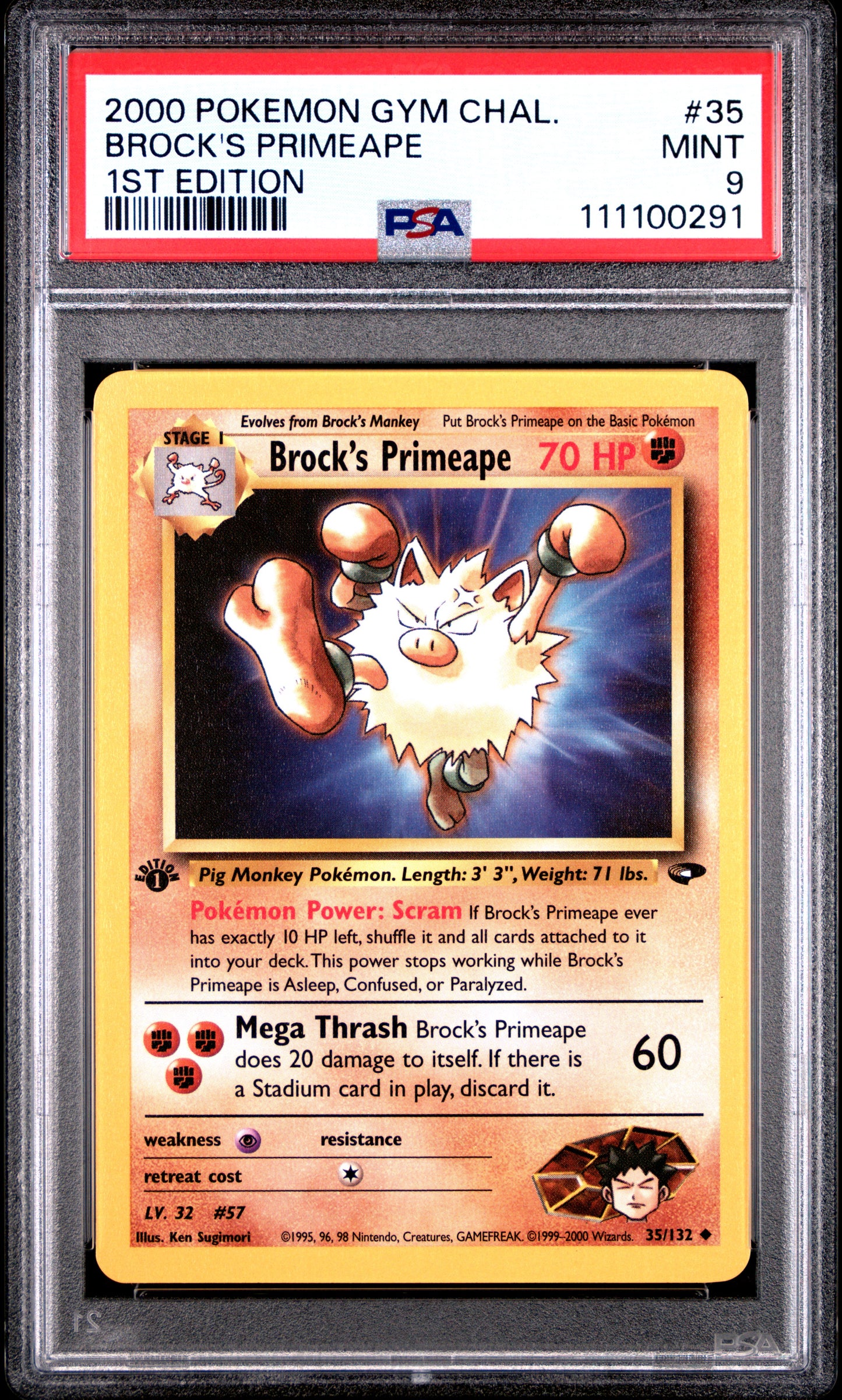 BROCK'S PRIMEAPE