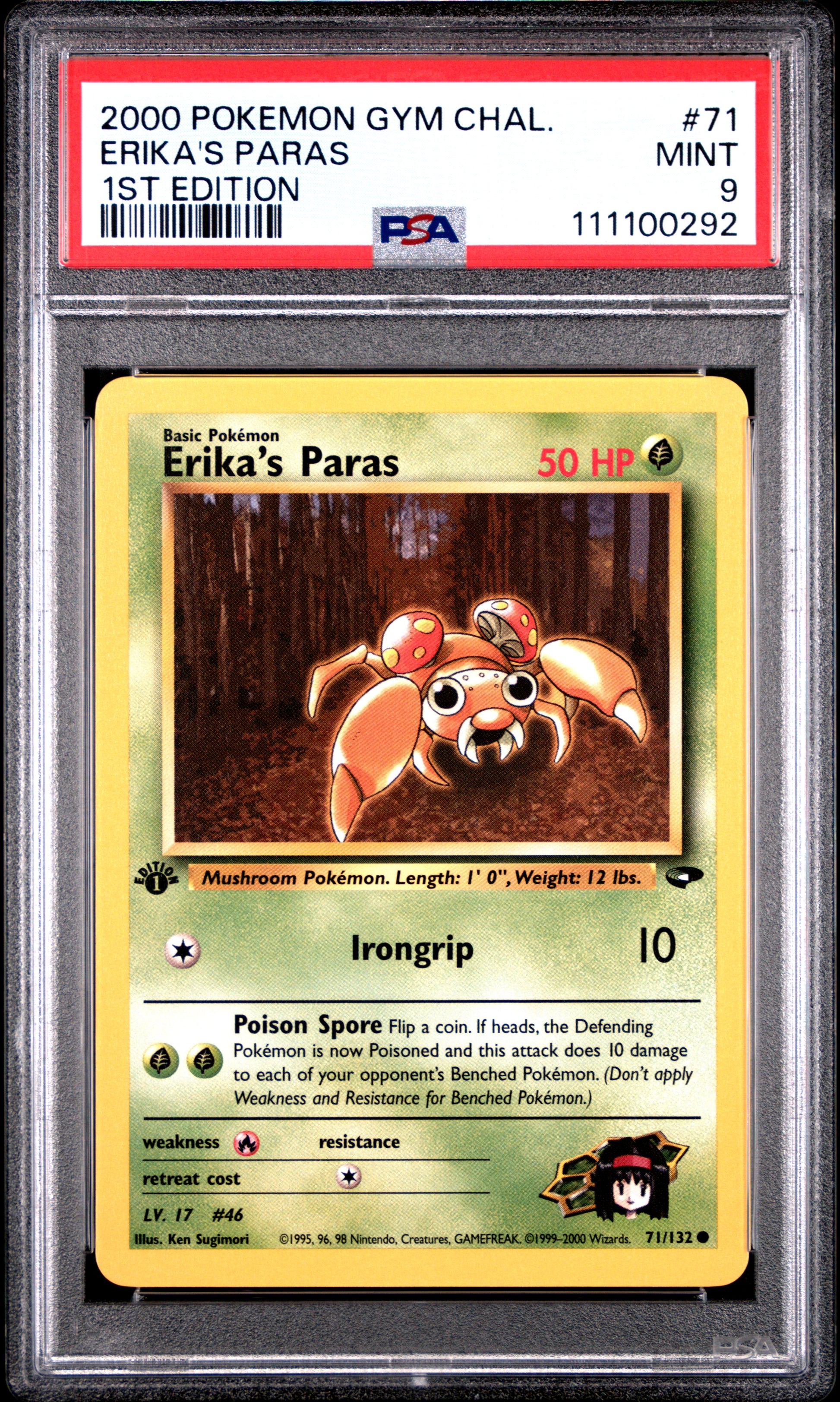 ERIKA'S PARAS