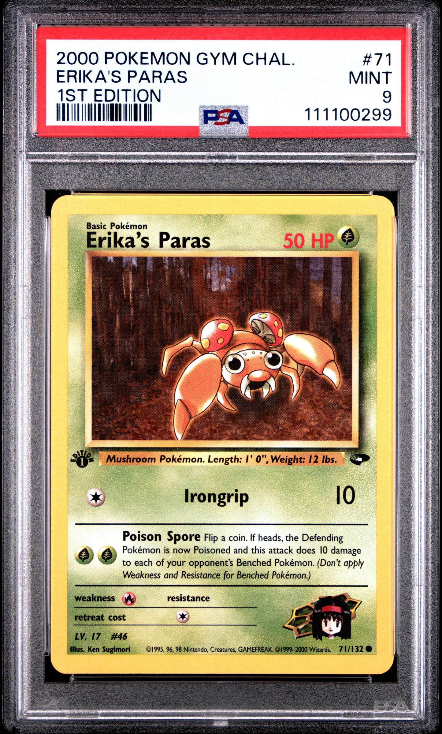 ERIKA'S PARAS